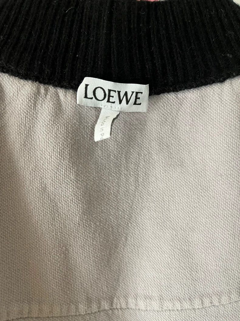 LOEWE Colorful hoodie