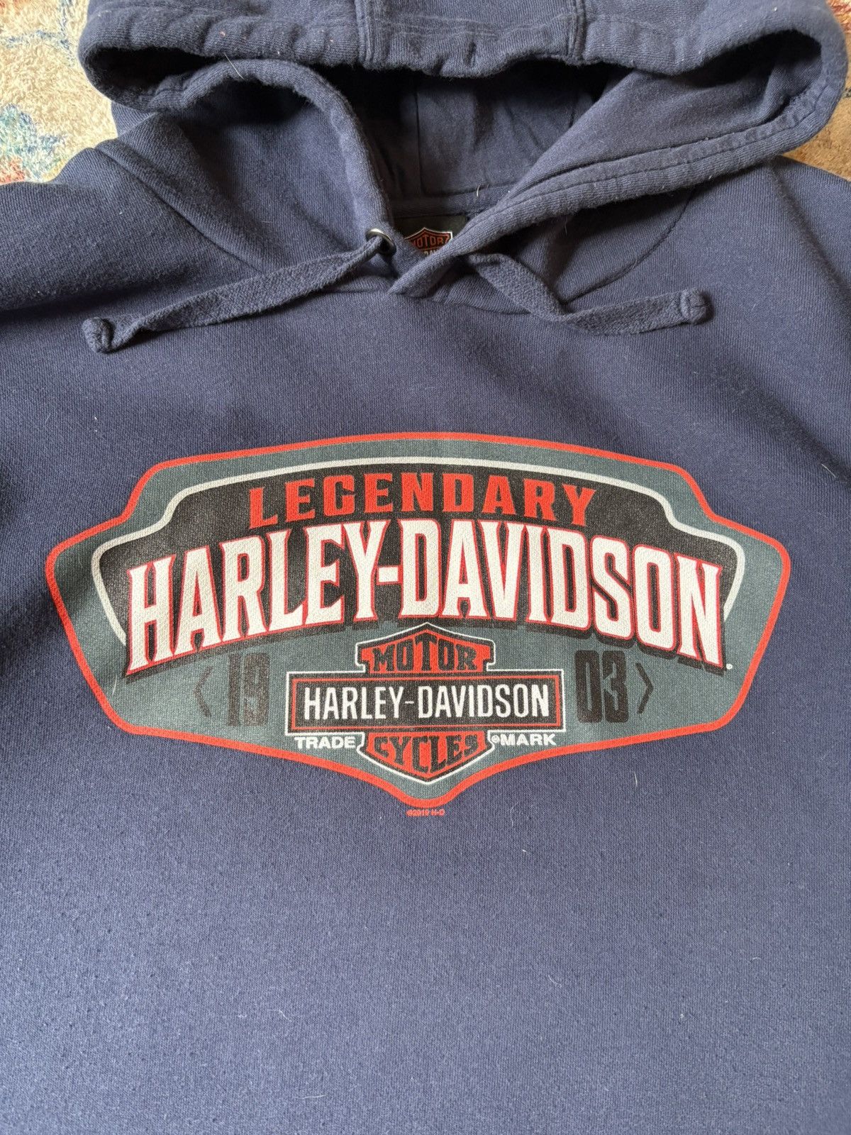 Harley Davidson Harley Davidson Biker Logo Pullover Hoodie Size XL Size US XL / EU 56 / 4 - 4 Thumbnail