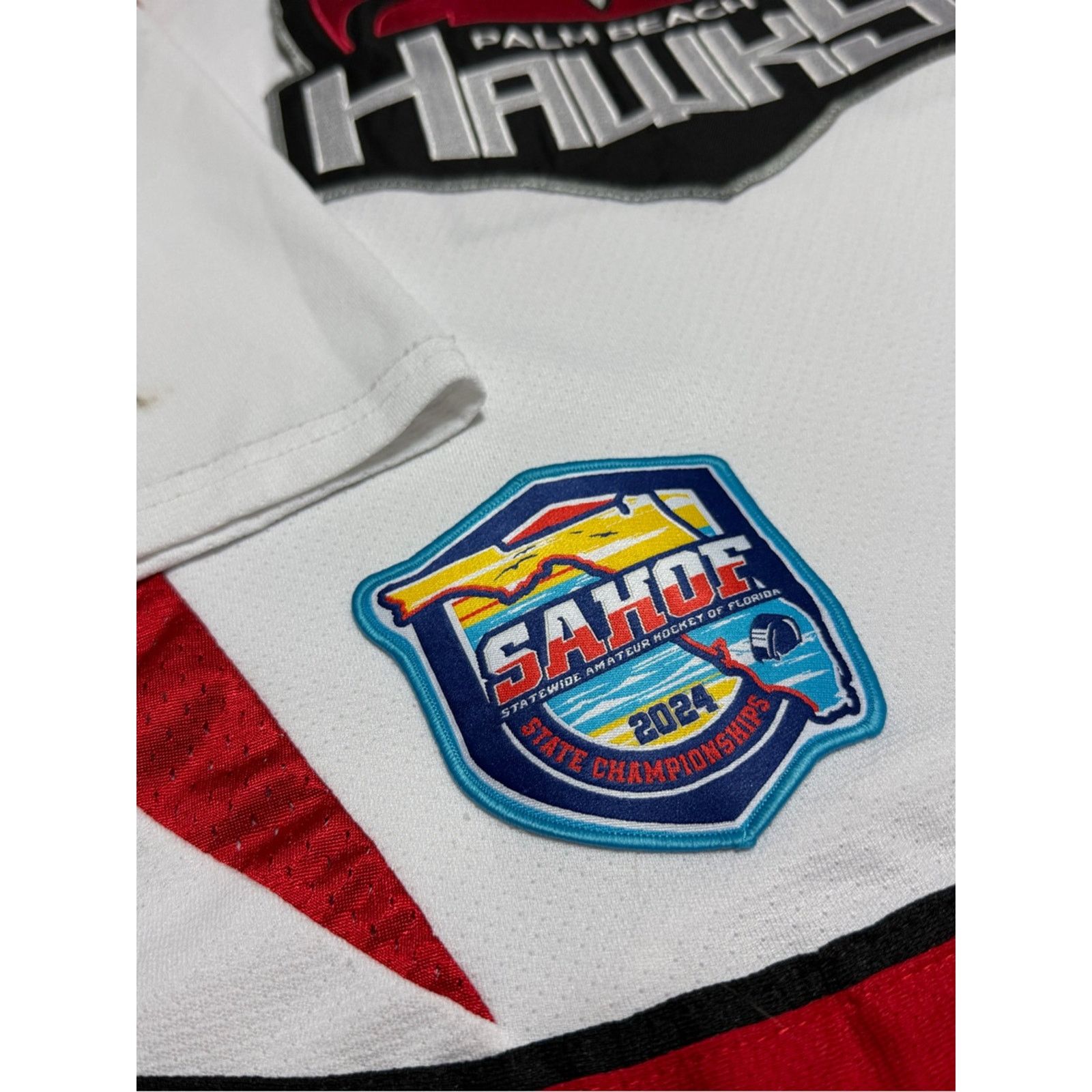 Other Palm Beach Hawks Authentic Hockey Goalie Jersey Mens RARE Size US S / EU 44-46 / 1 - 3 Thumbnail