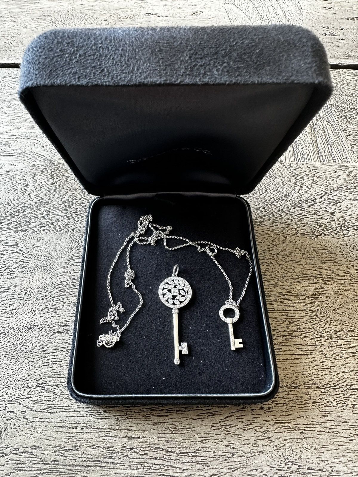 Tiffany & Co. Platinum Victoria Vine Key Pendant w 24in chain and Mini Key Size ONE SIZE - 1 Thumbnail