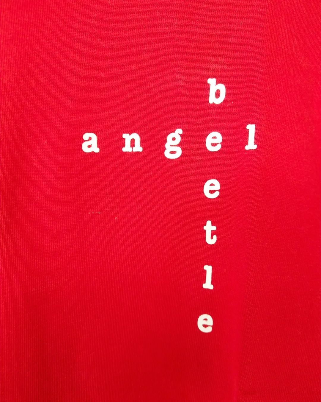 Band Tees × Japanese Brand × Vintage Vintage The High-Lows Angel Beetle Band Tees Size US L / EU 52-54 / 3 - 4 Thumbnail