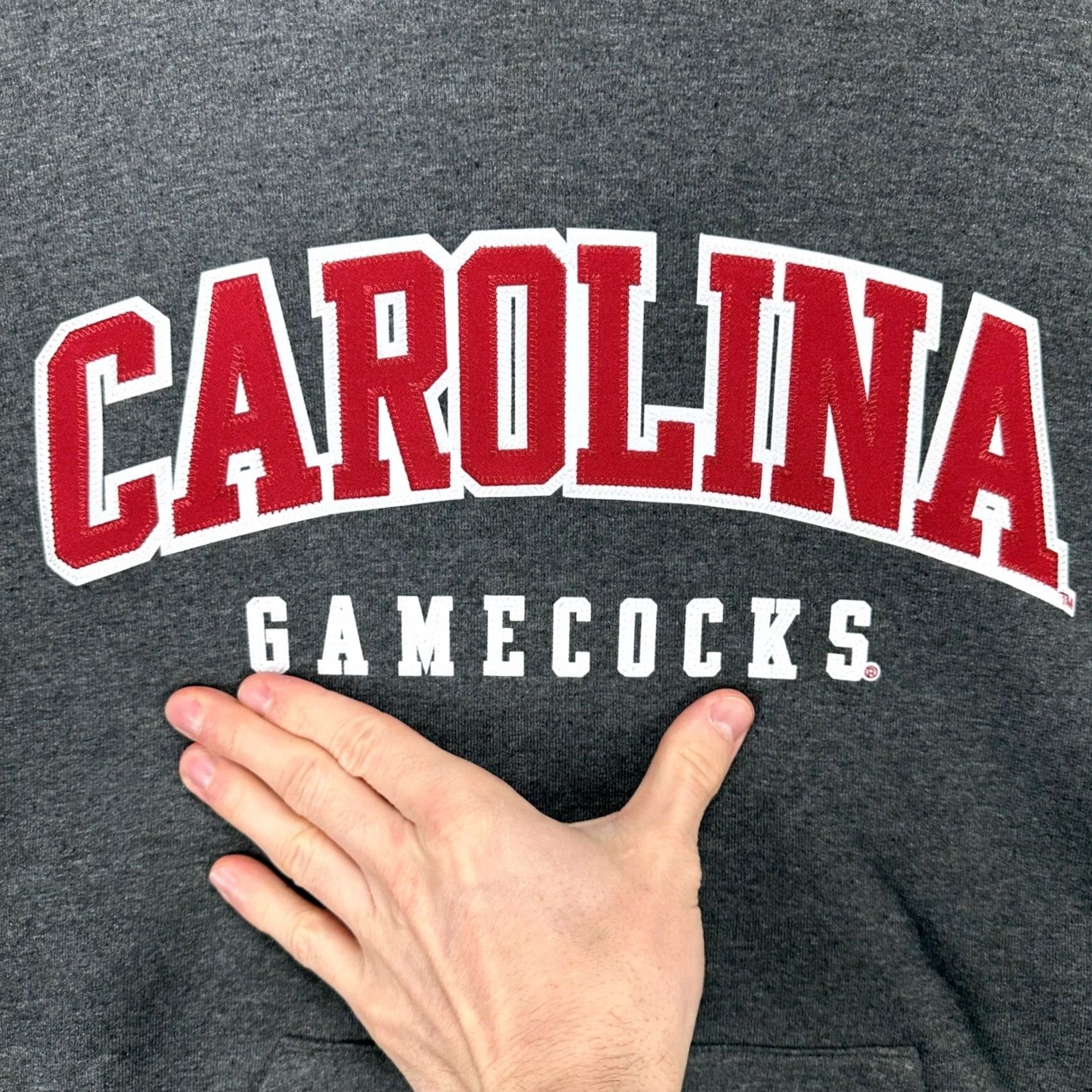 Champion South Carolina Gamecocks Mens Hoodie Sweatshirt Small Grey Drawstring Champion Size US S / EU 44-46 / 1 - 6 Thumbnail