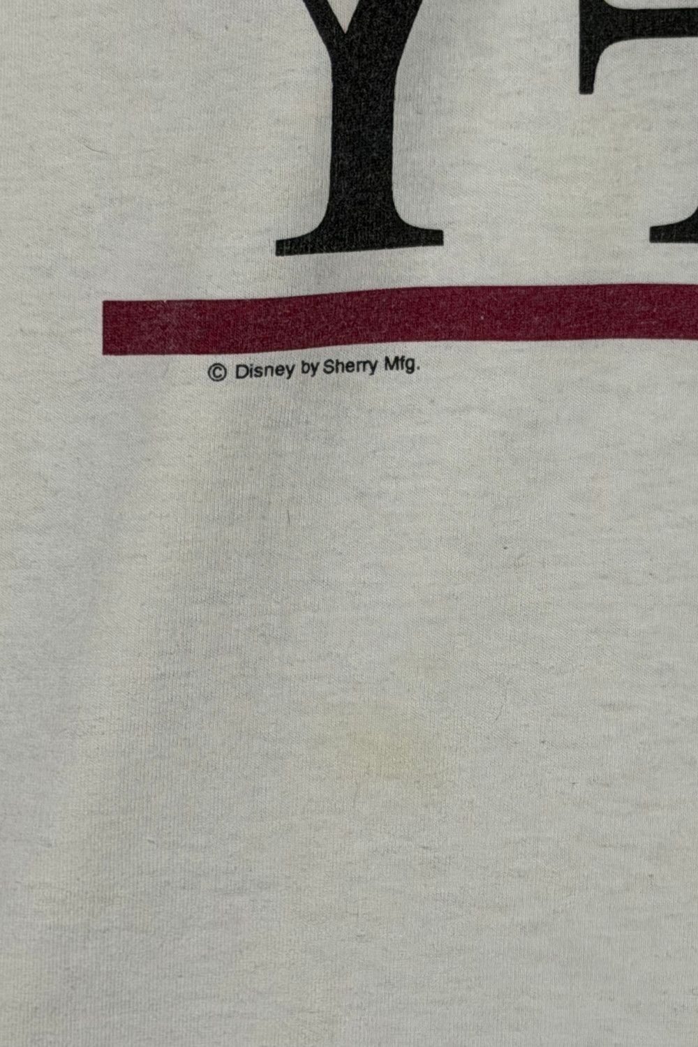 Fruit Of The Loom Vintage early 90s Disney Goofy Florida tee Size US M / EU 48-50 / 2 - 9 Thumbnail
