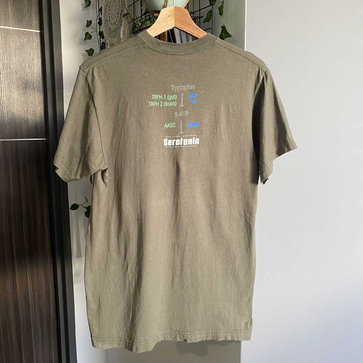 Band Tees Girl In Red Serotonin Song Indie Band ERD GRUNGE GRAIL Tee Size US M / EU 48-50 / 2 - 2 Thumbnail