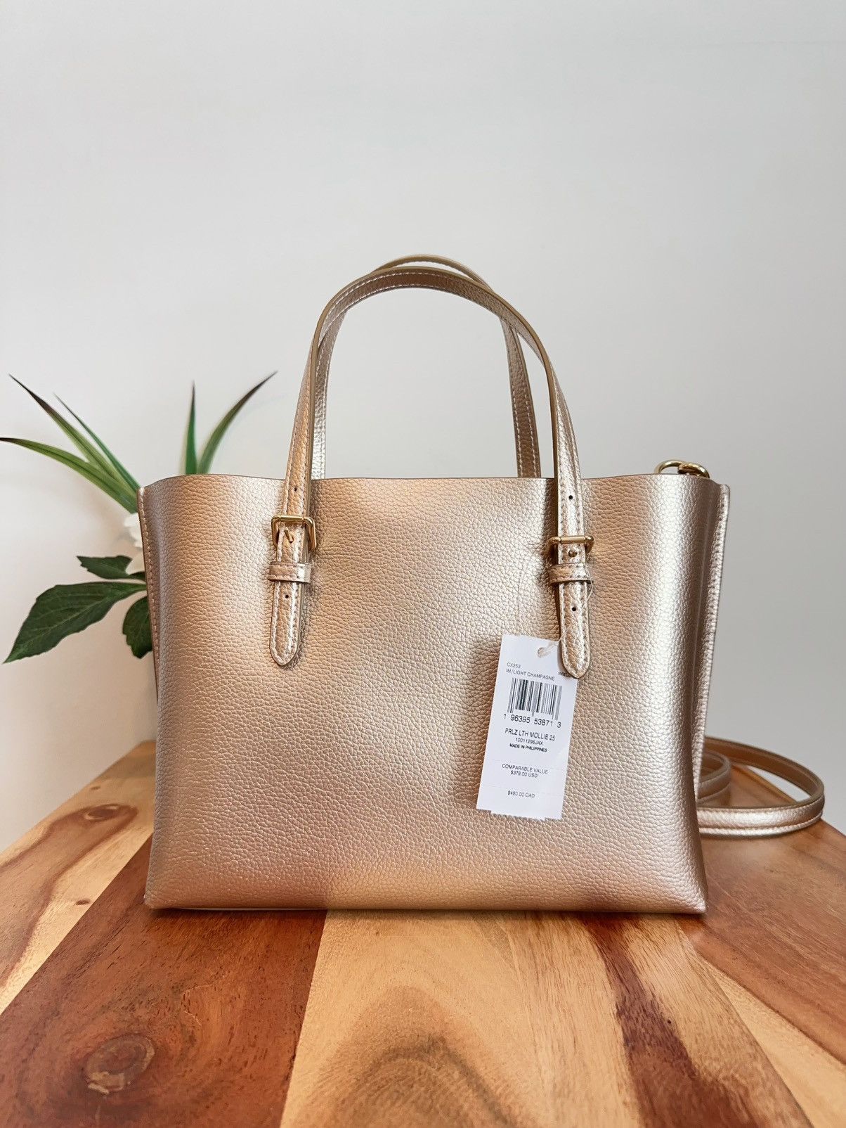 Coach NWT Coach Mollie Tote Bag 25 Size ONE SIZE - 4 Thumbnail