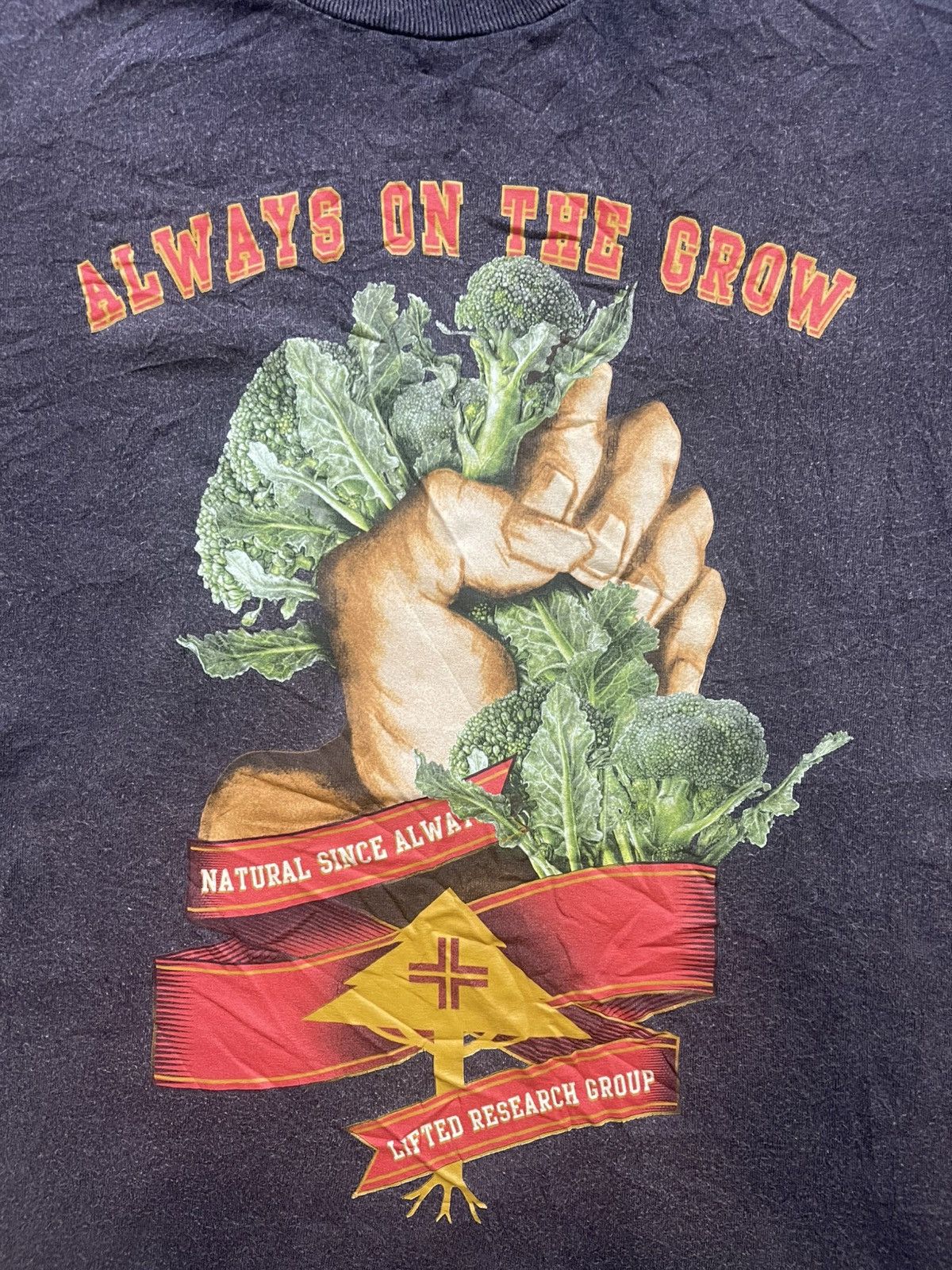 General Research Vintage LRG "Always On The Grow" Streetwear Graphic Tee - M Size US M / EU 48-50 / 2 - 2 Thumbnail