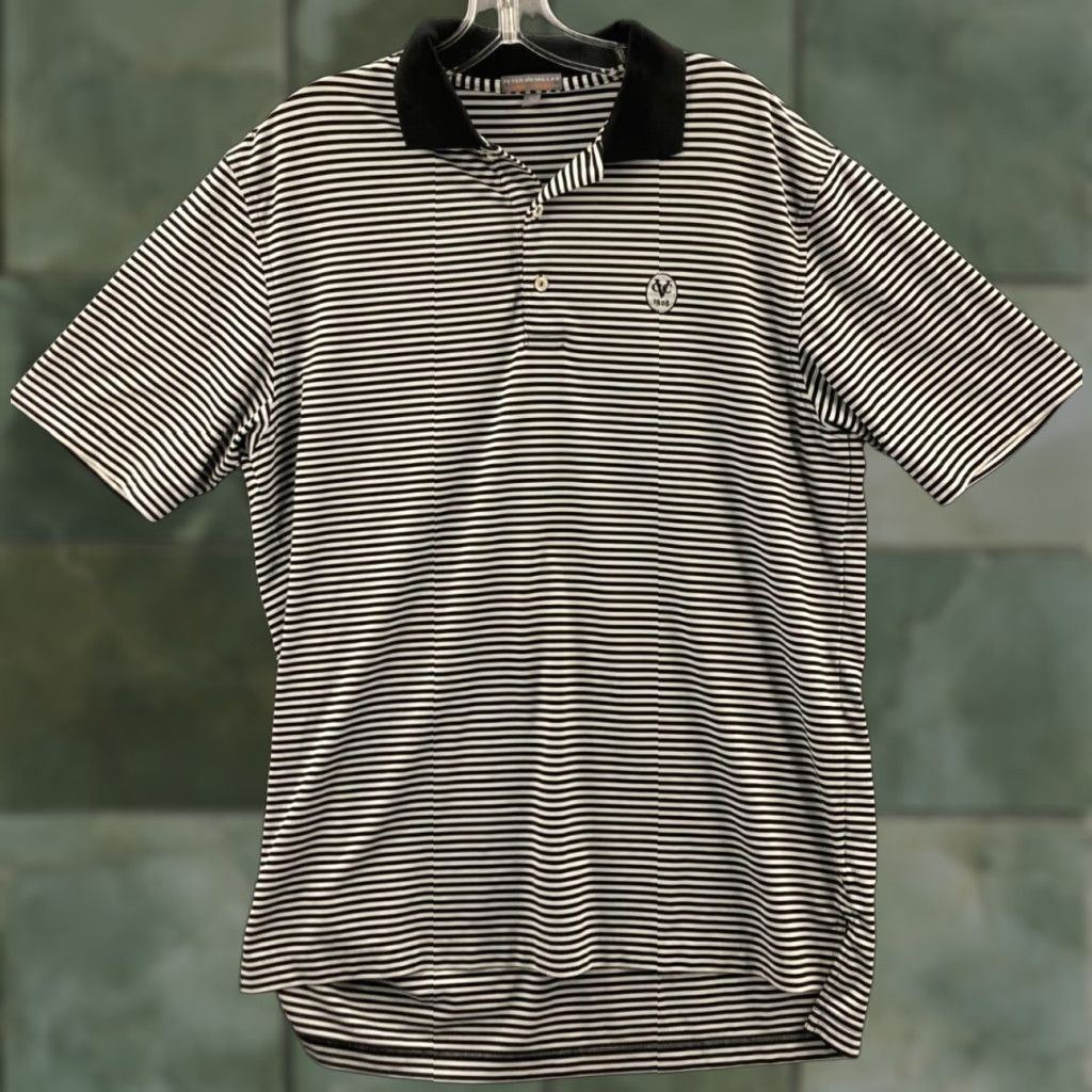 Peter Millar Peter Millar Summer Comfort Polo Shirt Mens Medium Striped Golf Activewear Size US M / EU 48-50 / 2 - 1 Thumbnail