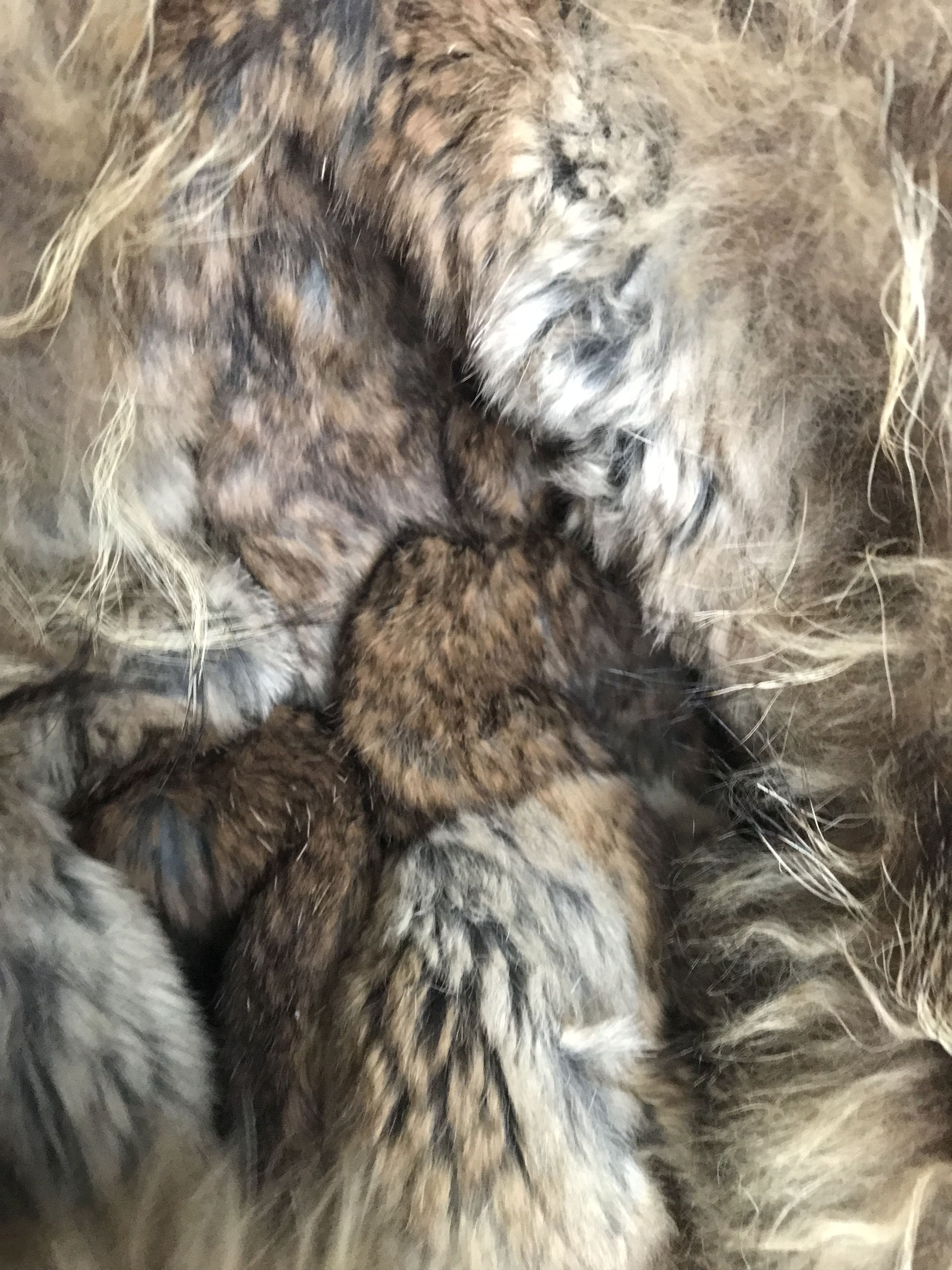 Mackage MACKAGE GOOSE DOWN FILLED, RABBIT & RACOON FUR HOOD BOMBER Size US S / EU 44-46 / 1 - 6 Thumbnail