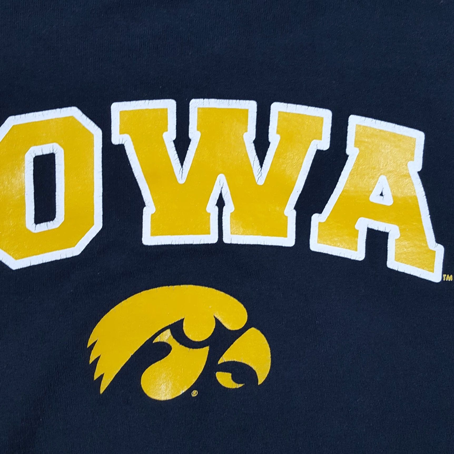 Gildan Vintage Iowa Hawkeyes NCAA Football Hoodie Mens Large Pullover Sweatshirt Black 90s College Retro Y2K Sports Size US L / EU 52-54 / 3 - 4 Thumbnail