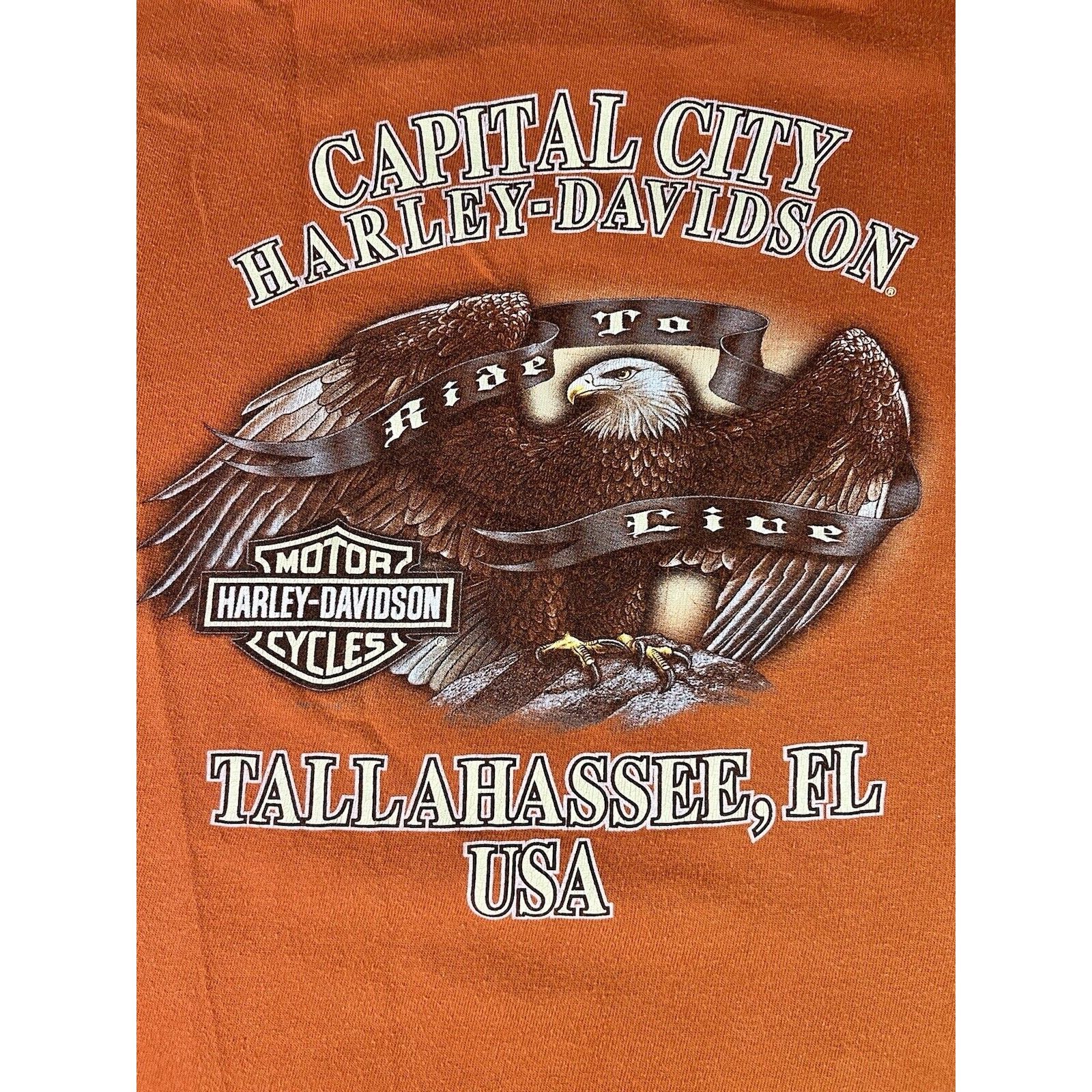 Harley Davidson 2013 Harley Davidson T-shirt Capital City Tallahassee Ride T Size US M / EU 48-50 / 2 - 1 Thumbnail