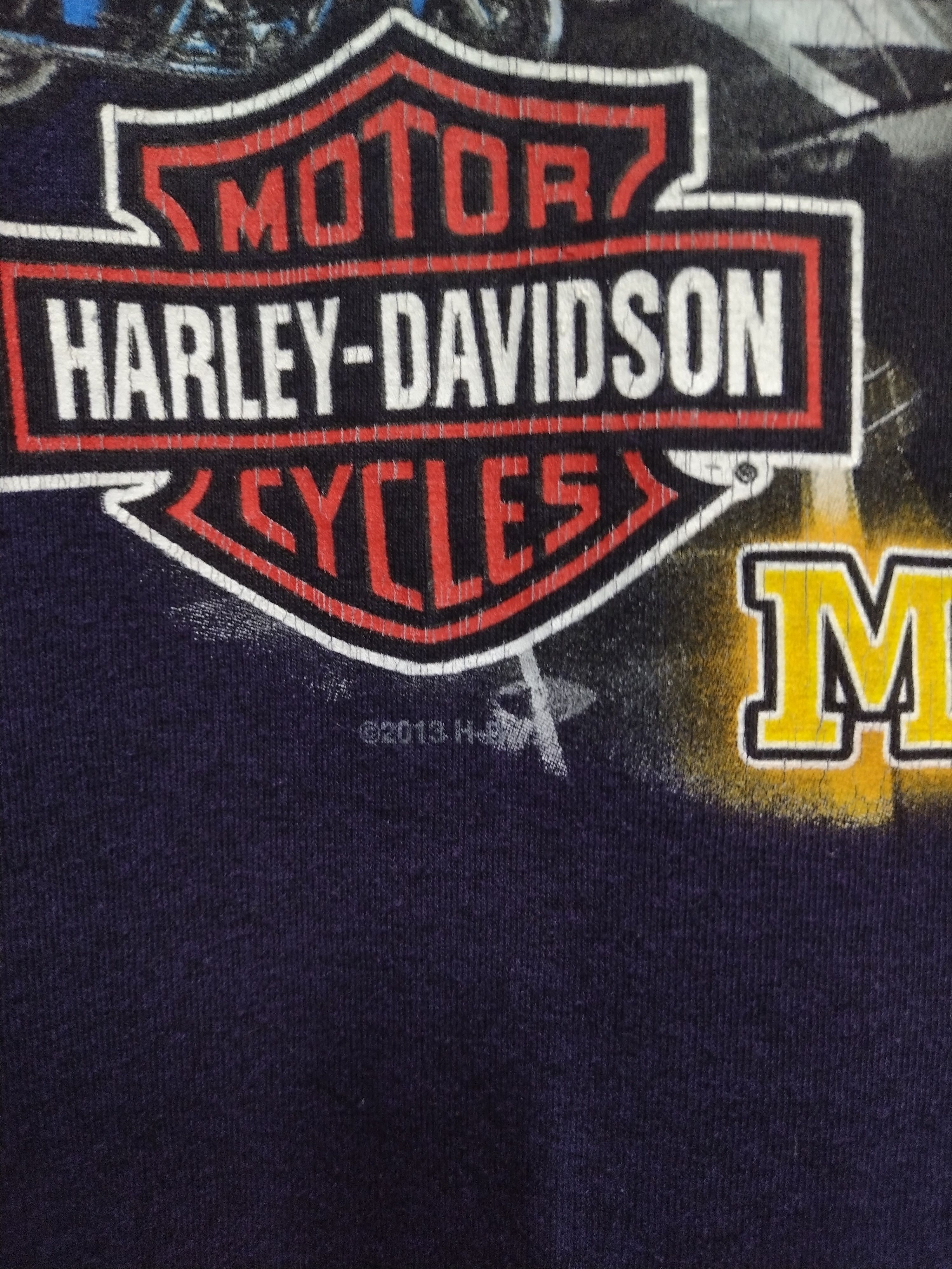 Harley Davidson × Vintage 2013 Harley Davidson style 3D HD eagle ROMMEL MARYLAND Size US XL / EU 56 / 4 - 9 Thumbnail