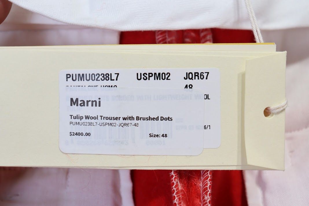 Marni o1rshd1 Tulip Wool Trouser with Brushed Dot in Red Size US 32 / EU 48 - 14 Thumbnail
