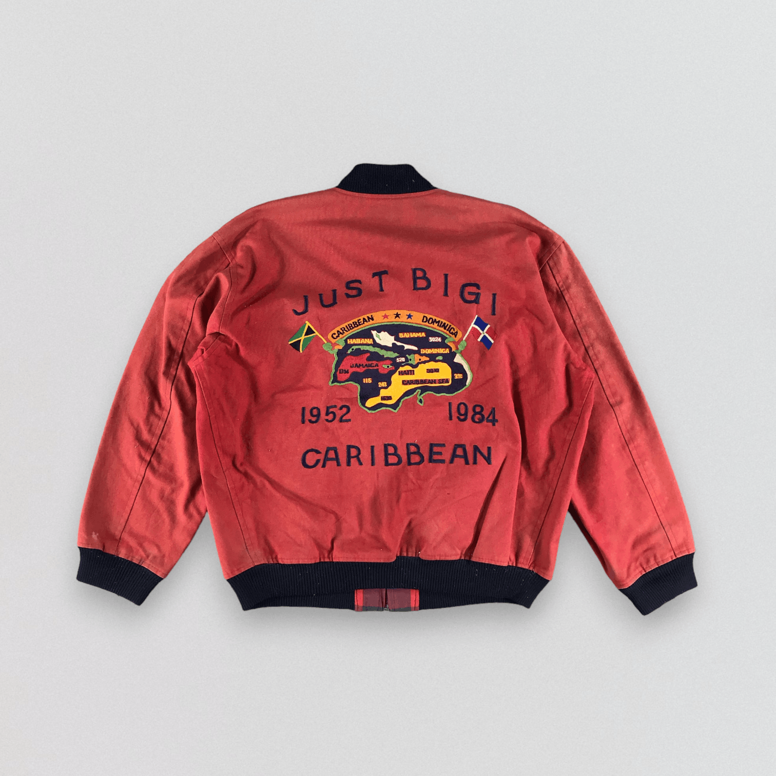 image of Just Bigi Embroidery Jacket in Faded, Men's (Size Large)