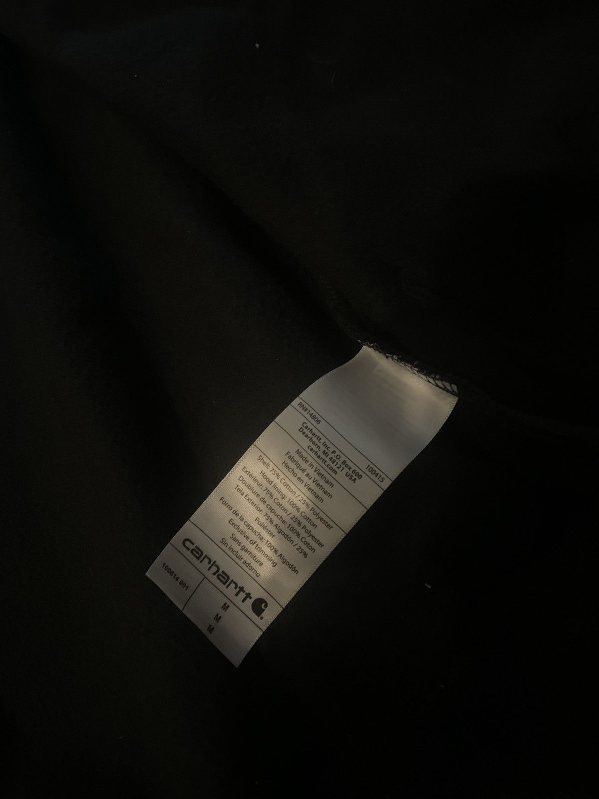 Carhartt Hoodie Carhartt Size US M / EU 48-50 / 2 - 4 Thumbnail