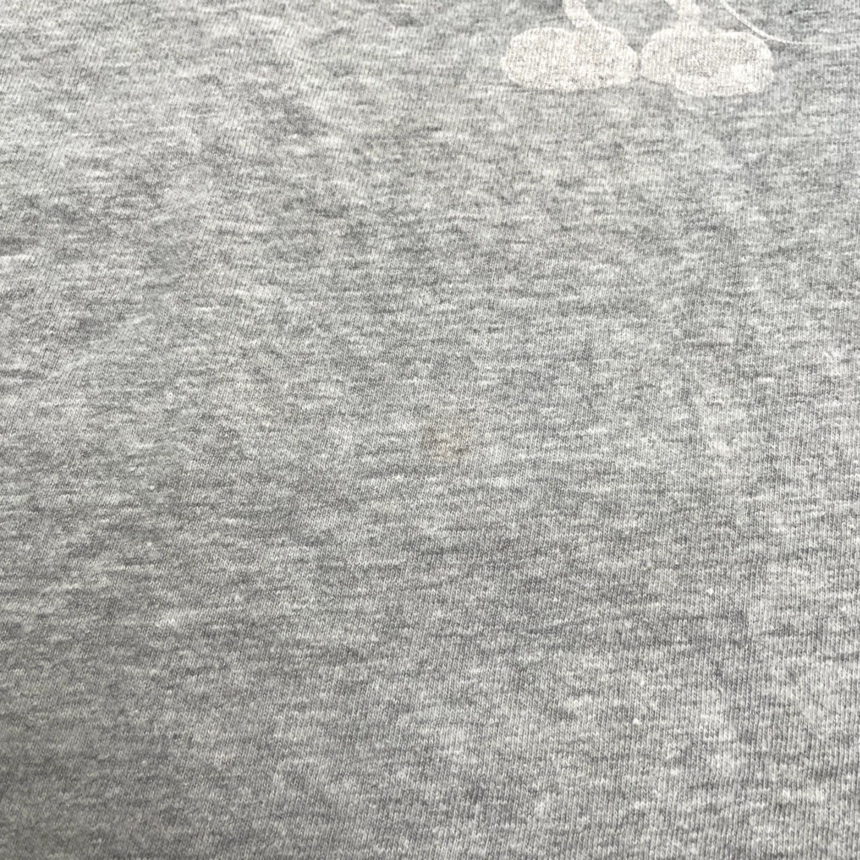 Hanes Disneyland Disney x Hanes Graphic T-Shirt Unisex Adult Large Gray Crew Neck Tee Size L / US 10 / IT 46 - 7 Thumbnail