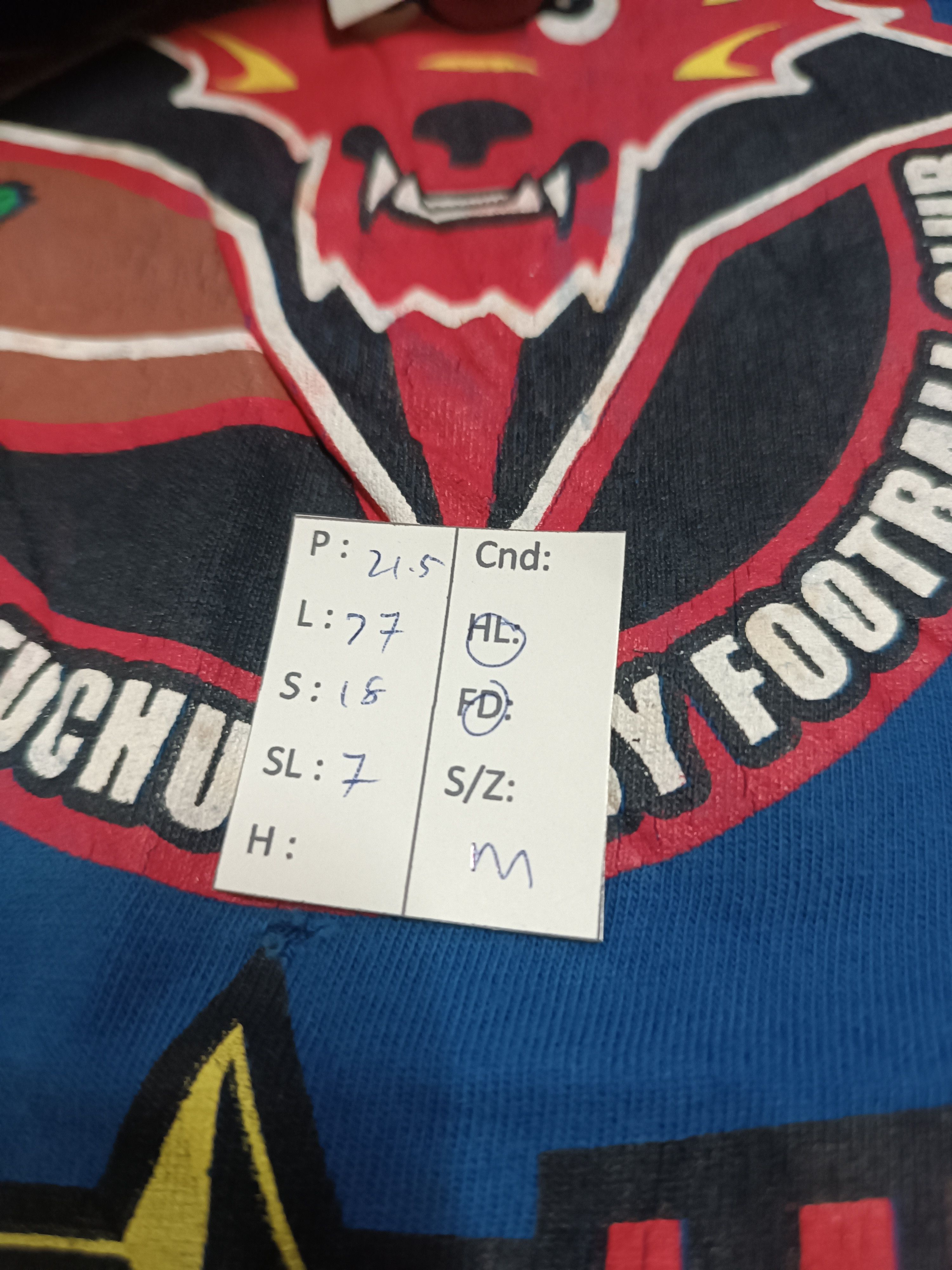 Vintage THRASHED FADED VINTAGE Y2K BRAVE LUPUS TEE RUGBY JAPAN Size US M / EU 48-50 / 2 - 20 Thumbnail