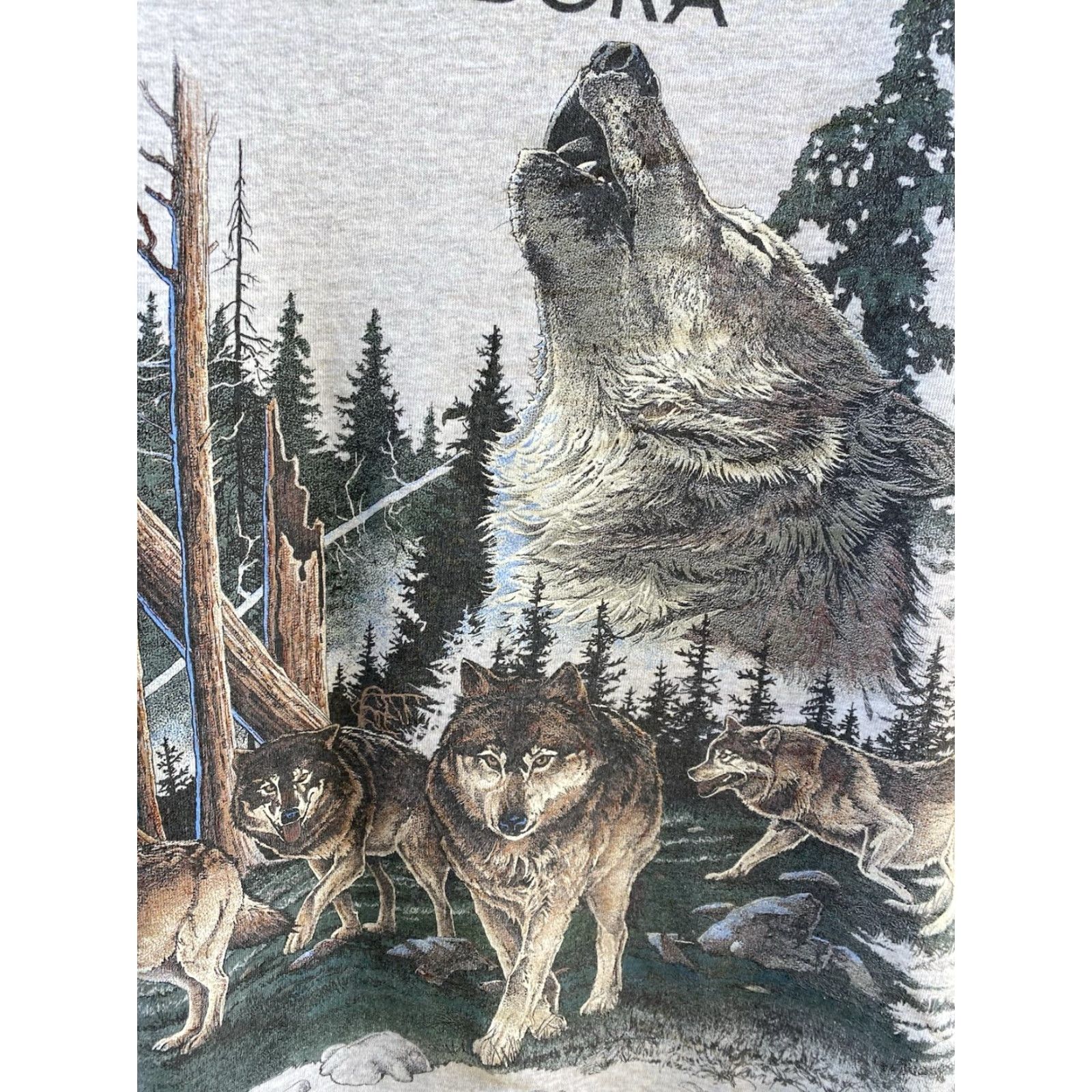 Vintage VINTAGE Medora North Dakota Wolf Pack Graphic T-Shirt Nature Tee Wildlife XL Mens Gray 100% Cotton Premier Sportswear 1990s Wolf Pack Outdoors Size US XL / EU 56 / 4 - 4 Thumbnail
