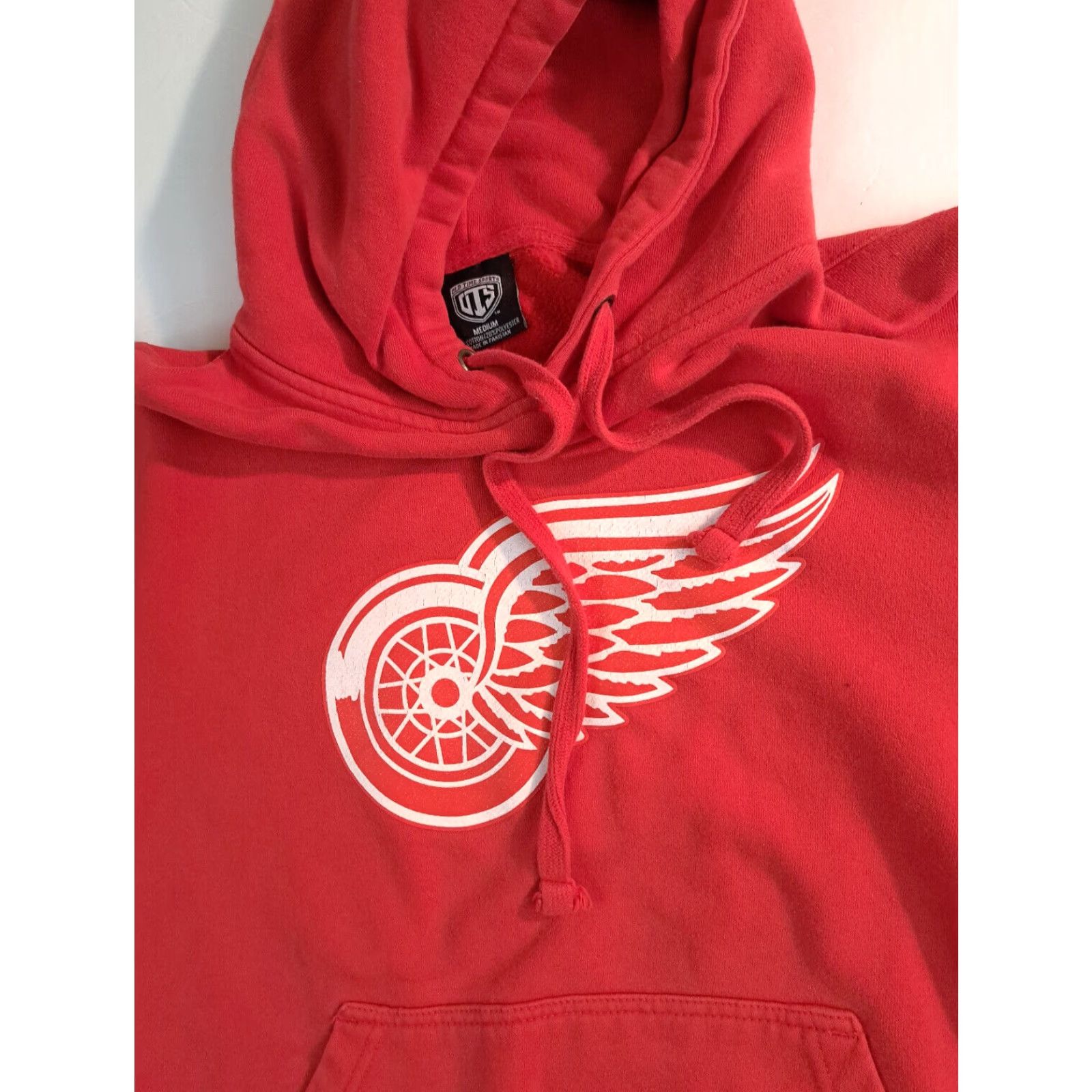 Vintage Detroit Red Wings Hockey Medium Hooded Sweatshirt Old Time Hockey Sweatshirt Mens M Red Logs 90s Sports Hoodie Size US M / EU 48-50 / 2 - 3 Thumbnail