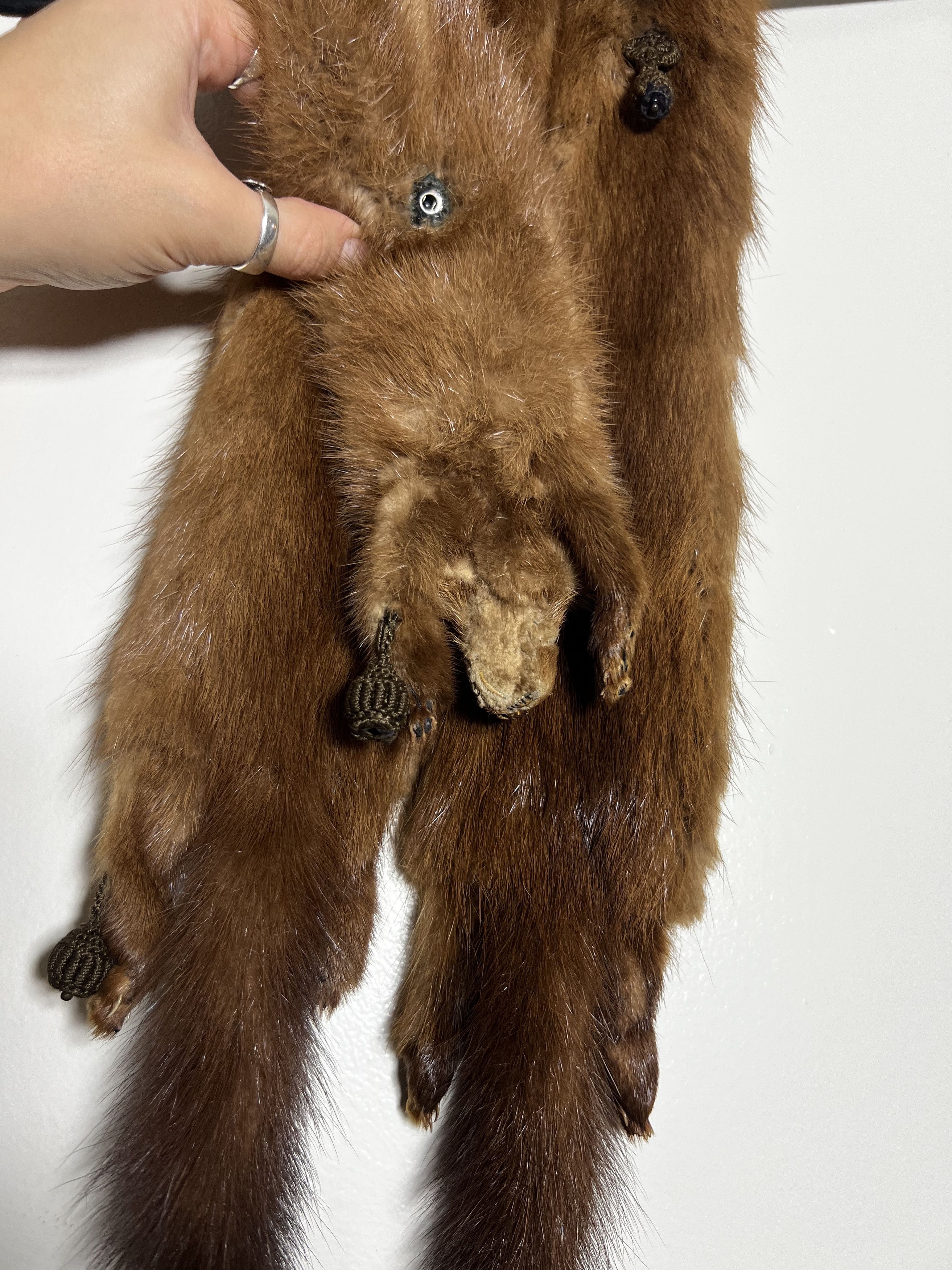 Other × Vintage Vintage 40's-50's Fur Taxidermy Pelt Collar - Mink Stole Size ONE SIZE - 6 Thumbnail