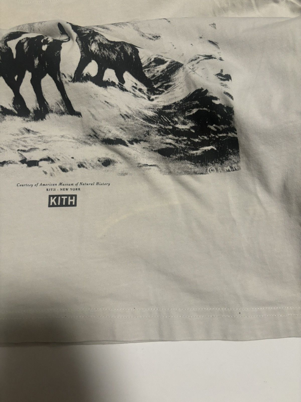 Kith Kith x AMNH Wolves Vintage Tee - Concrete Size US M / EU 48-50 / 2 - 5 Thumbnail