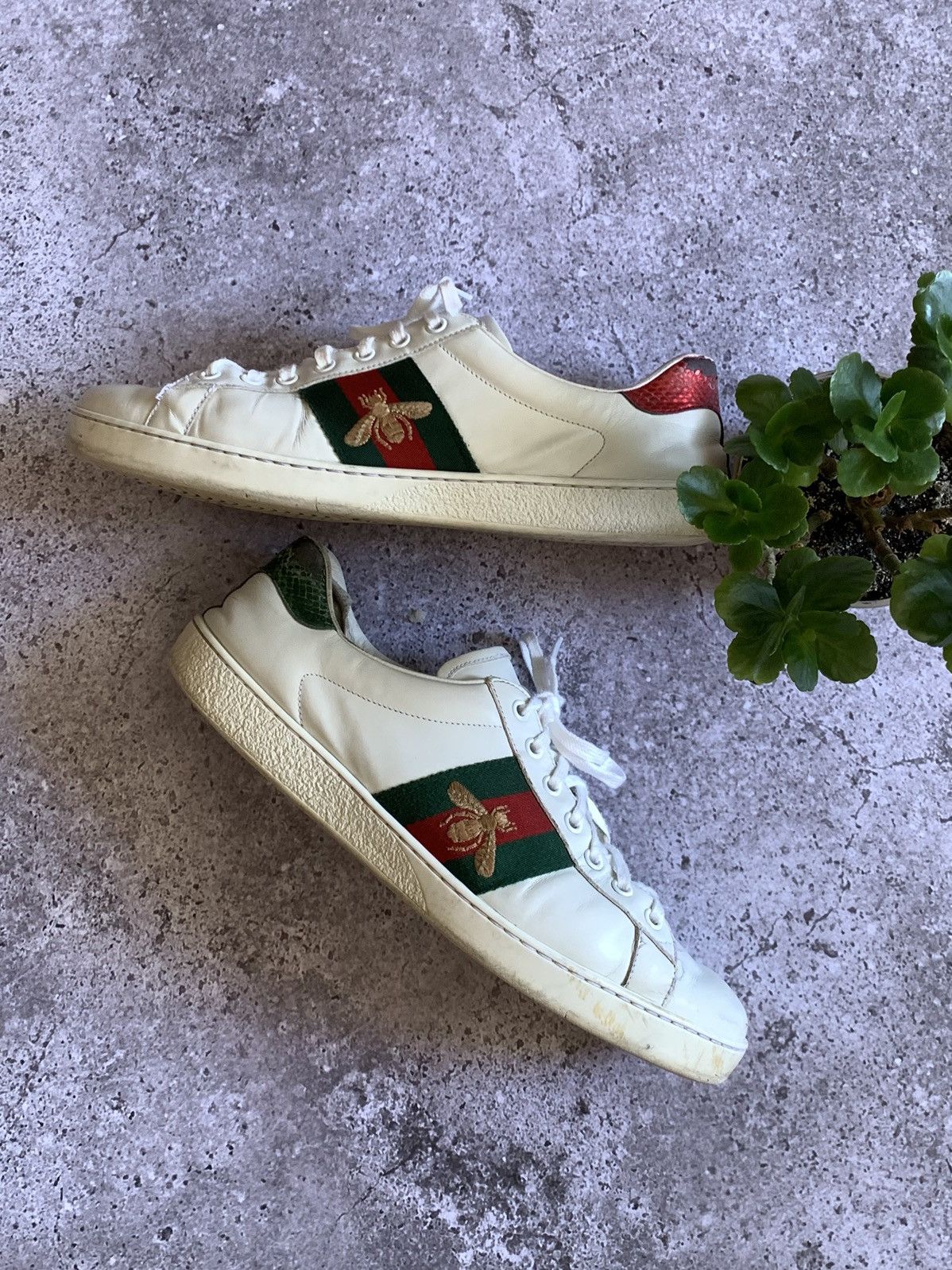 Gucci 🔥GUCCI ACE SNEAKERS Size US 9 / EU 42 - 2 Thumbnail