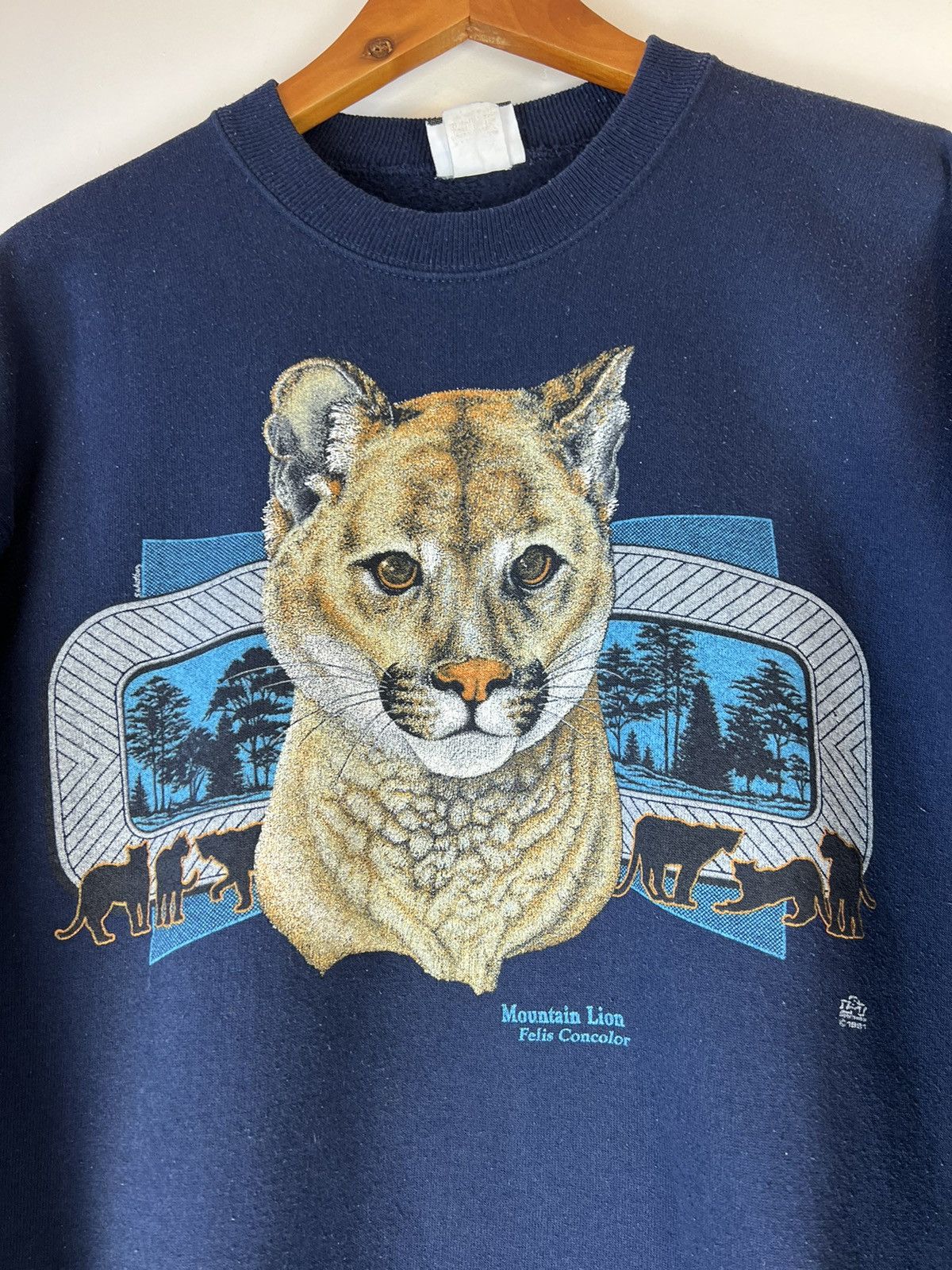 Lee Vintage Lee Sturdy Sweats Mountain Lion sweater crewneck Size US S / EU 44-46 / 1 - 3 Thumbnail