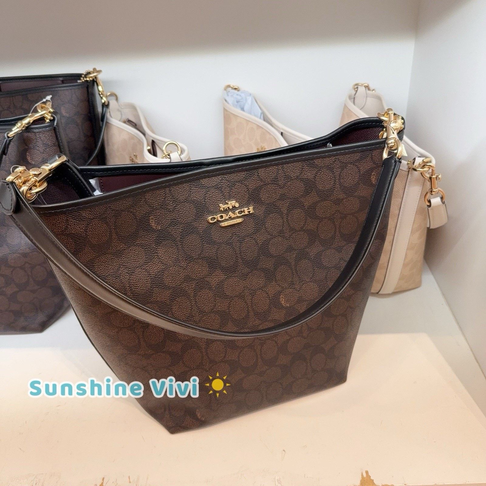 Coach NWT Coach City Large Bucket Bag CT802 Gold/Walnut/Black Size ONE SIZE - 1 Thumbnail