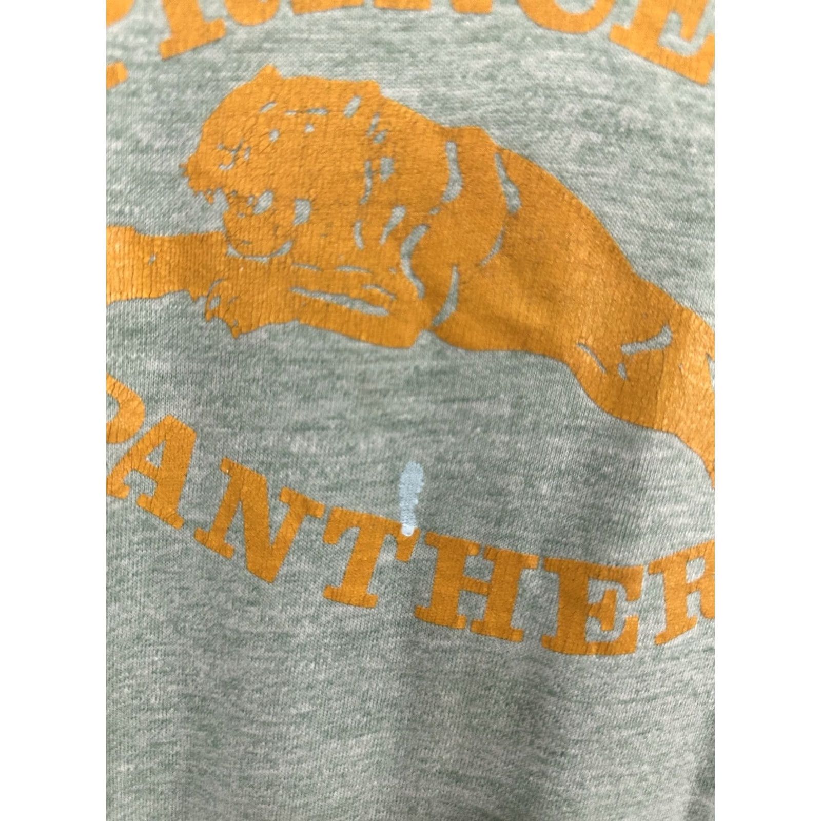 Vintage VTG 70s Princeton Panthers T-Shirt Mens XL Green Ringer Nike? (Note: Original title did not specify Nike; cannot assume brand) Size US XL / EU 56 / 4 - 4 Thumbnail