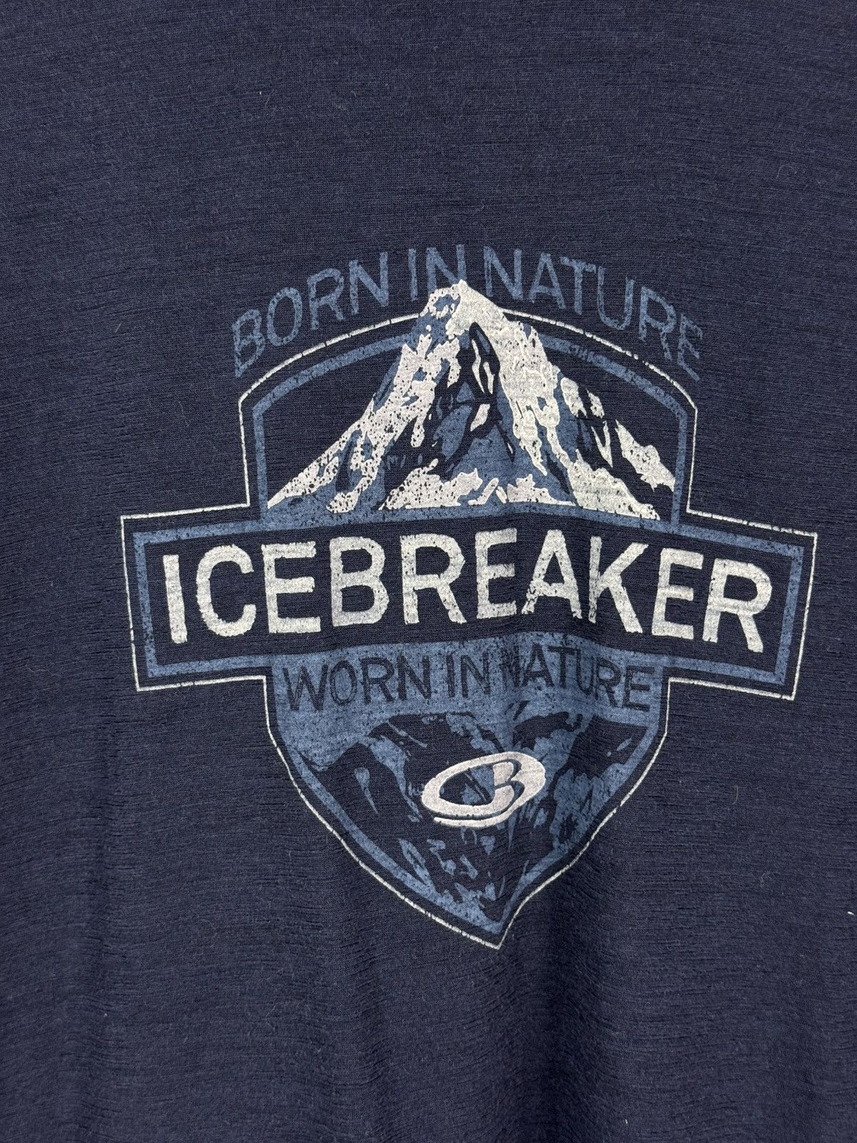 Icebreaker Icebreaker Born in Nature Graphic Merino Wool Long Sleeve Size US M / EU 48-50 / 2 - 5 Thumbnail