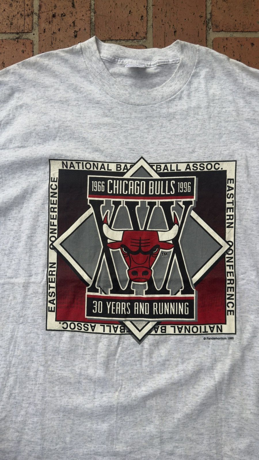 NBA Vintage NBA Chicago Bulls 1995 Size US XL / EU 56 / 4 - 5 Thumbnail
