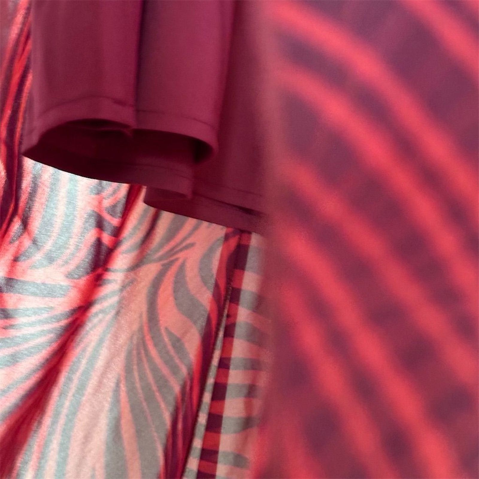 Other THE FIFTH LABEL Red Zebra Striped Midi Tango Dress Size 6 Size M / US 6-8 / IT 42-44 - 4 Thumbnail