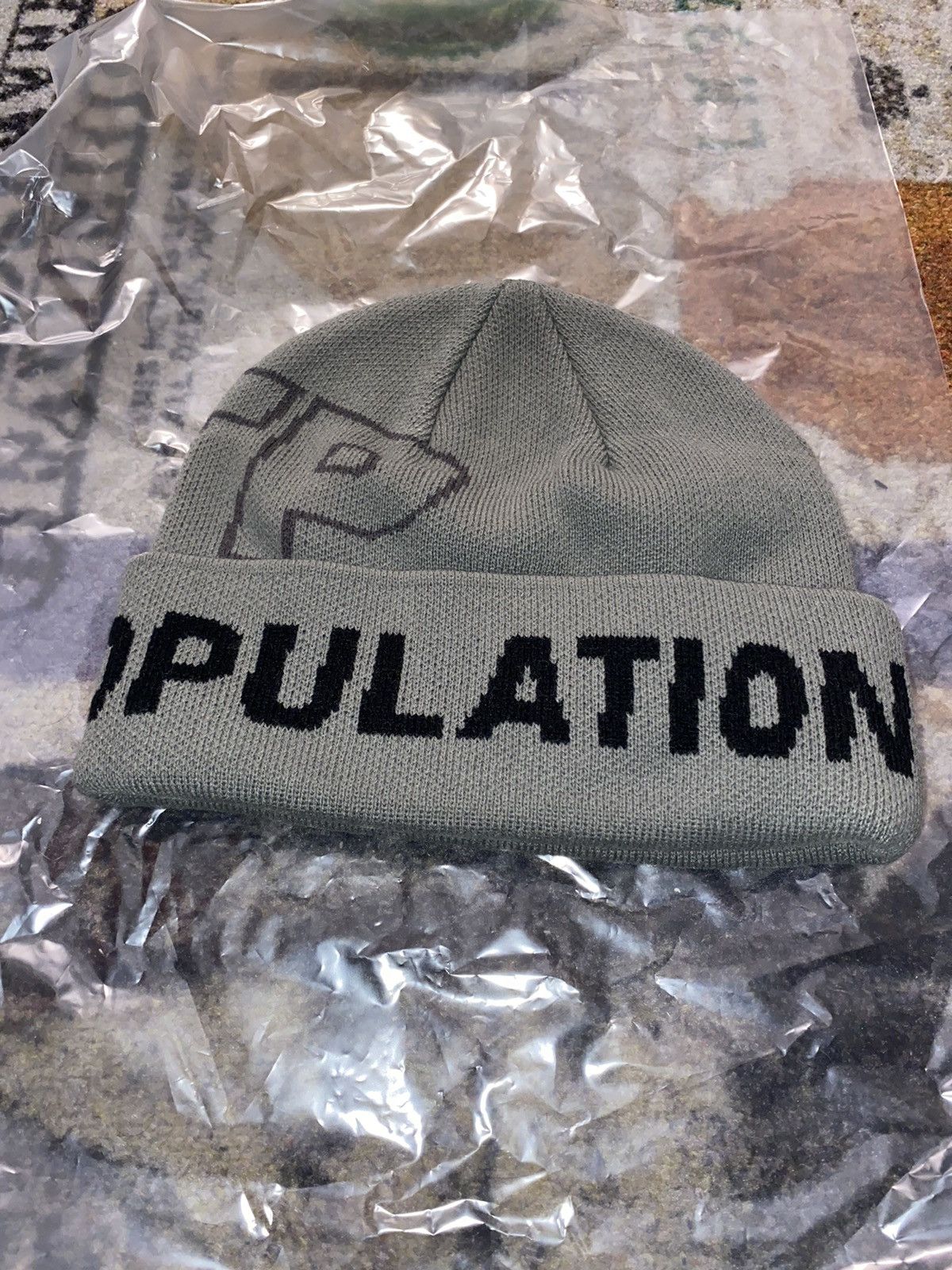 Fuck The Population FTP SPELLOUT BEANIE Size ONE SIZE - 2 Thumbnail