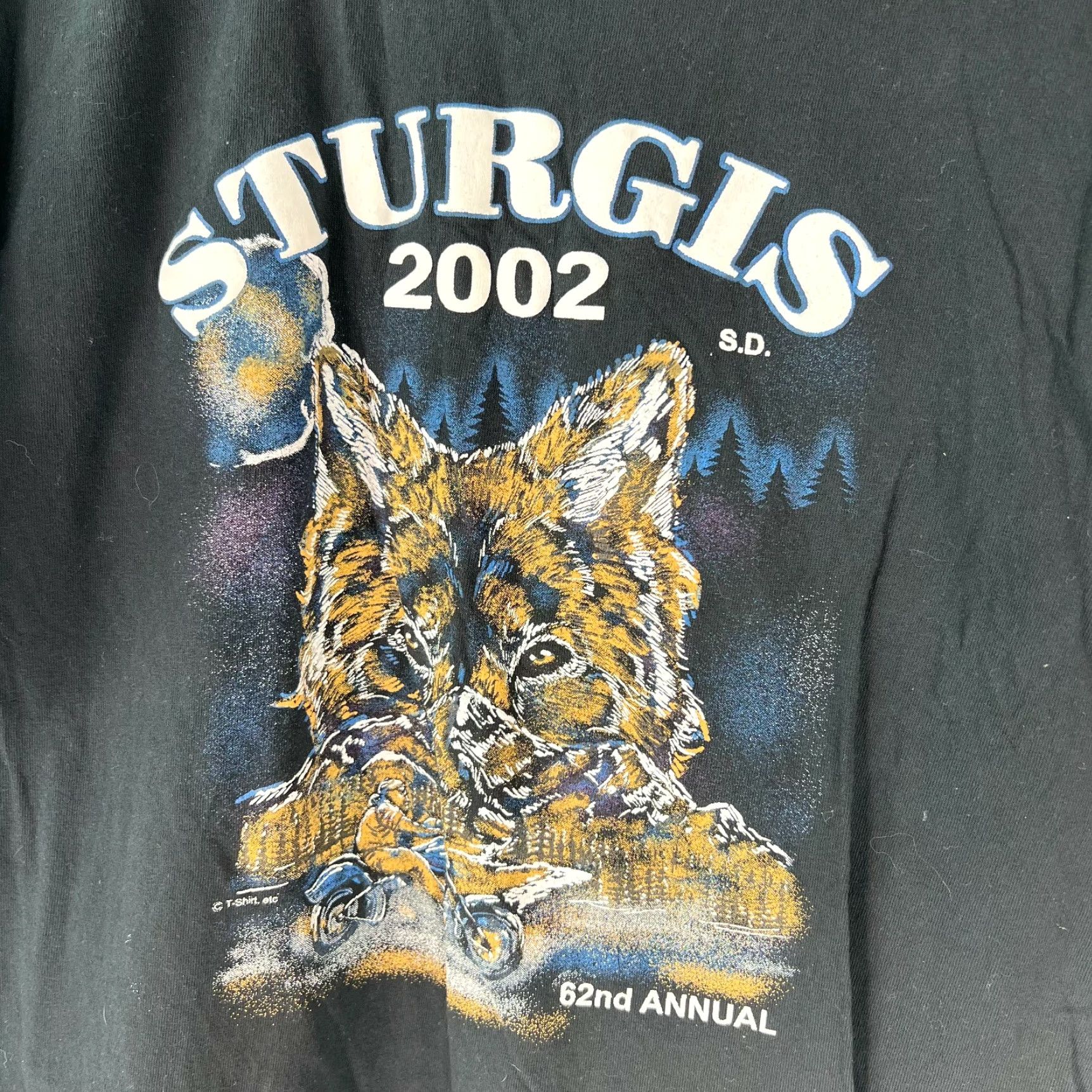 Gildan VINTAGE 2002 Sturgis Motorcycle Rally 62nd Annual Black T Shirt Gildan Mens L Short Sleeve Graphic Print Size US L / EU 52-54 / 3 - 3 Thumbnail