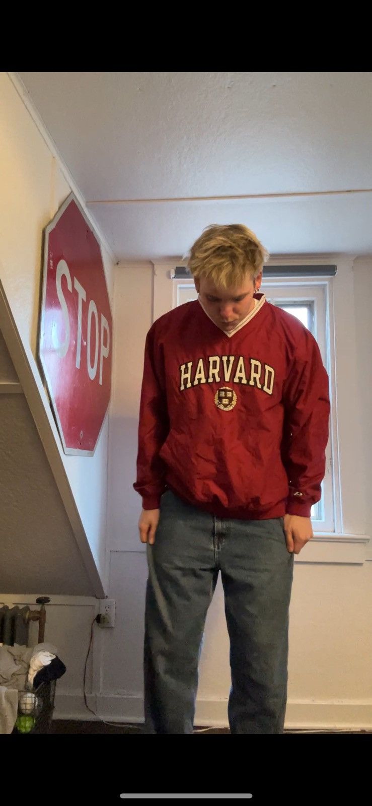 Vintage Harvard Crewneck Windbreaker Size US L / EU 52-54 / 3 - 1 Thumbnail