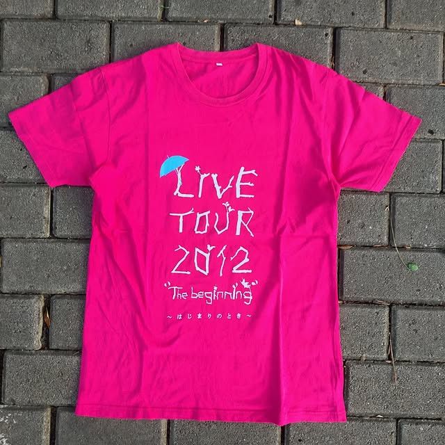 Band Tees Ayaka Japan Singer City Pop 2012 Tee Size US L / EU 52-54 / 3 - 1 Thumbnail