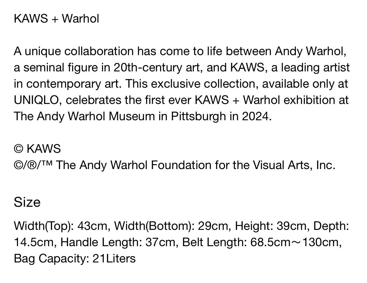 Andy Warhol × Kaws × Uniqlo Rare KAWS X ANDY WARHOL X UNIQLO 2-Way Tote Bag Size ONE SIZE - 12 Thumbnail