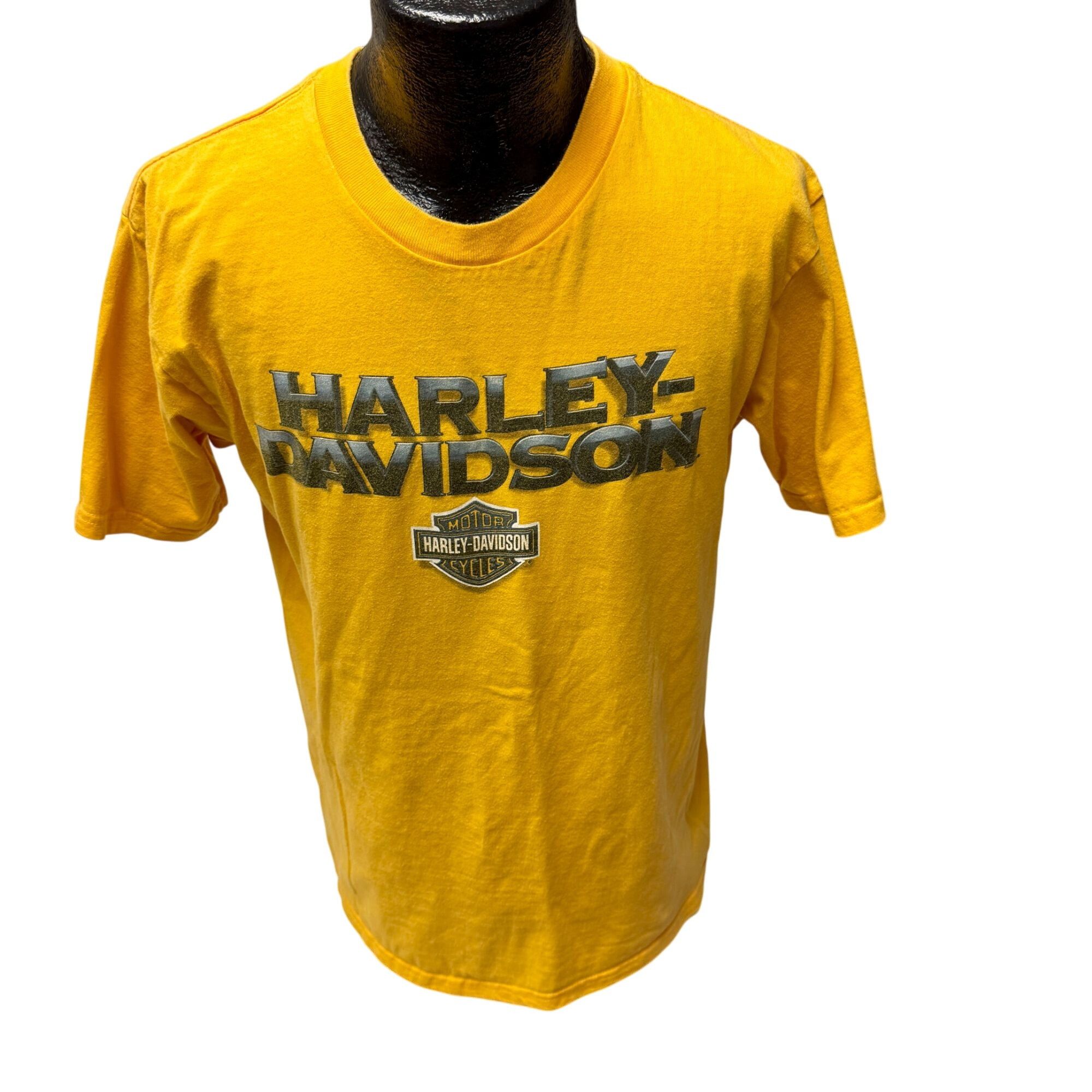 Harley Davidson Harley Davidson SPELLOUT Front Back Florida Biker T Shirt L Size US L / EU 52-54 / 3 - 1 Thumbnail