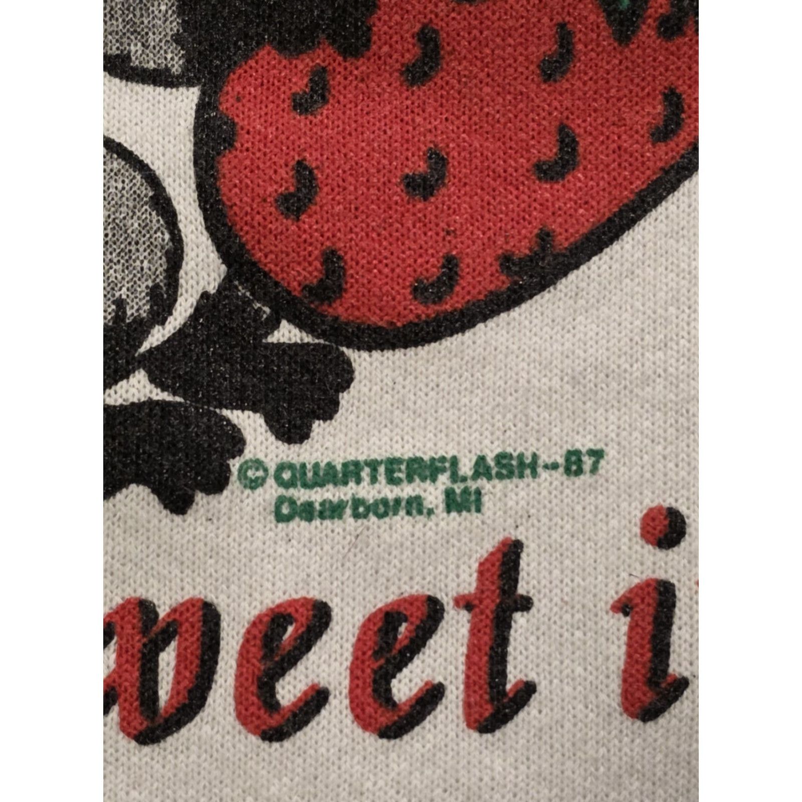 Fruit Of The Loom VINTAGE 80s Fruit Of The Loom Sweatshirt USA White Long Sleeve Crew Neck Graphic Print Pullover Unisex Adults L Size US L / EU 52-54 / 3 - 3 Thumbnail
