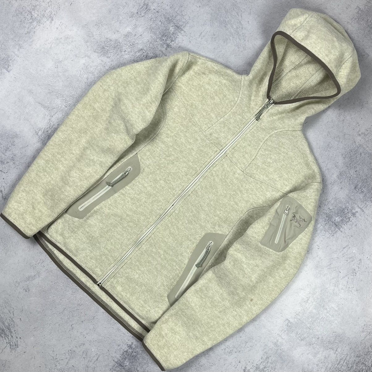 Arc’teryx zip up gorpcore hooded fleece jacket