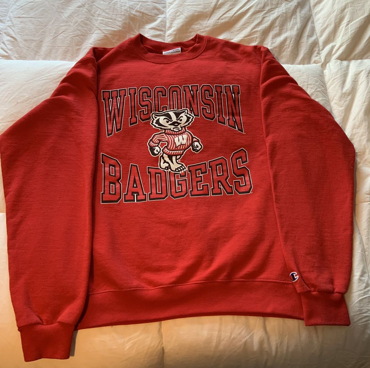 Champion Wisconsin Badgers Champion Fleece Sweatshirt Size US L / EU 52-54 / 3 - 1 Thumbnail