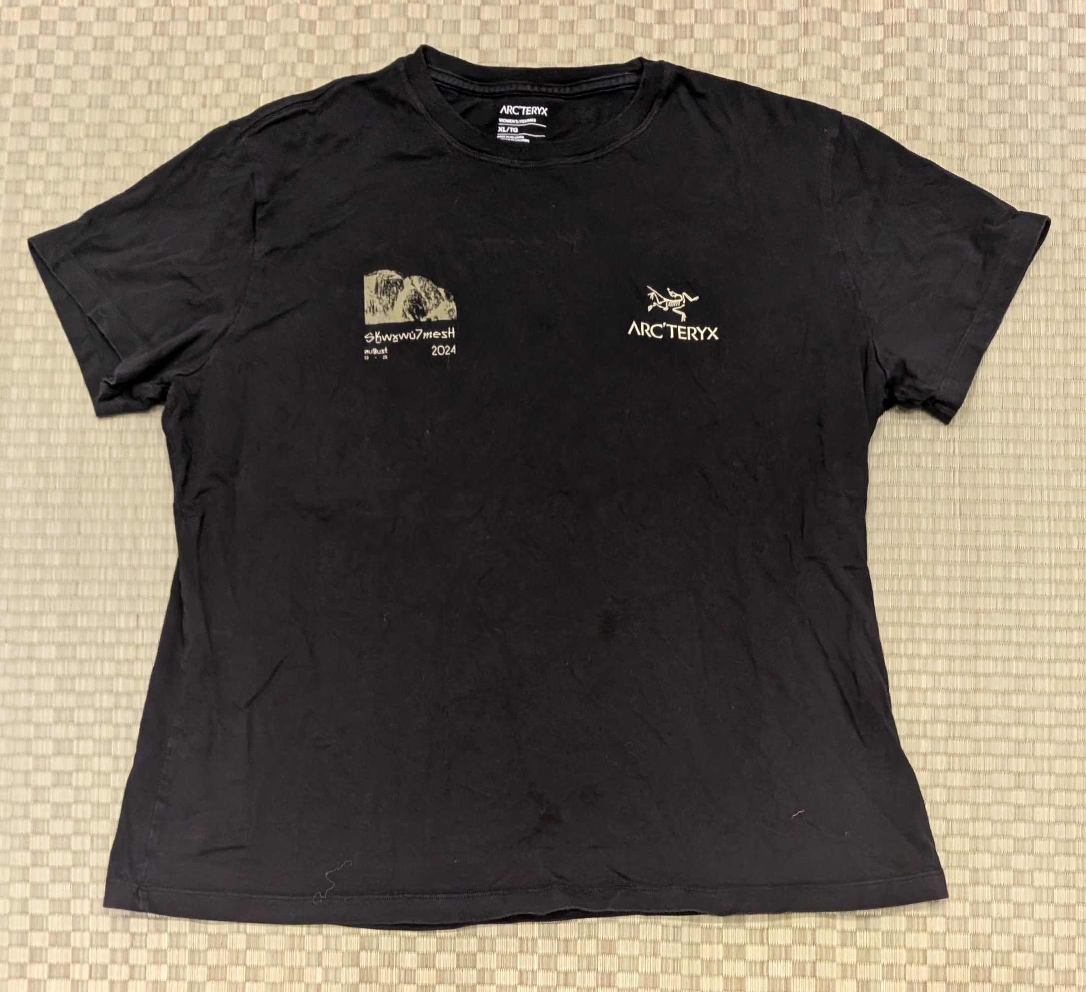 RARE Arc'teryx Academy 2024 Squamish T-shirt