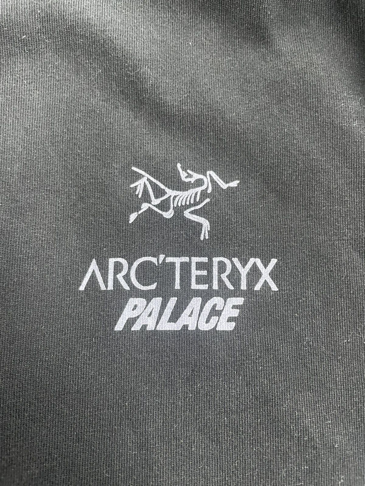 Arc'teryx × Palace Palace Arc’teryx Size Medium Size US M / EU 48-50 / 2 - 2 Thumbnail