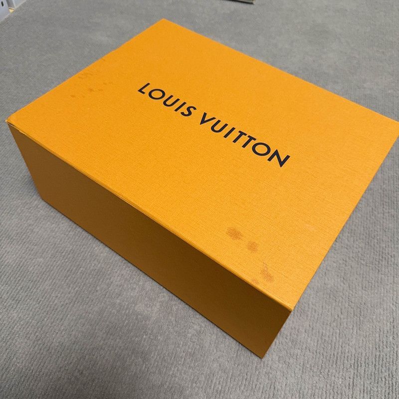 Louis Vuitton Louis Vuitton Trainer Low Top Fashion Sneakers -2508 Size US 10.5 / EU 43-44 - 5 Thumbnail
