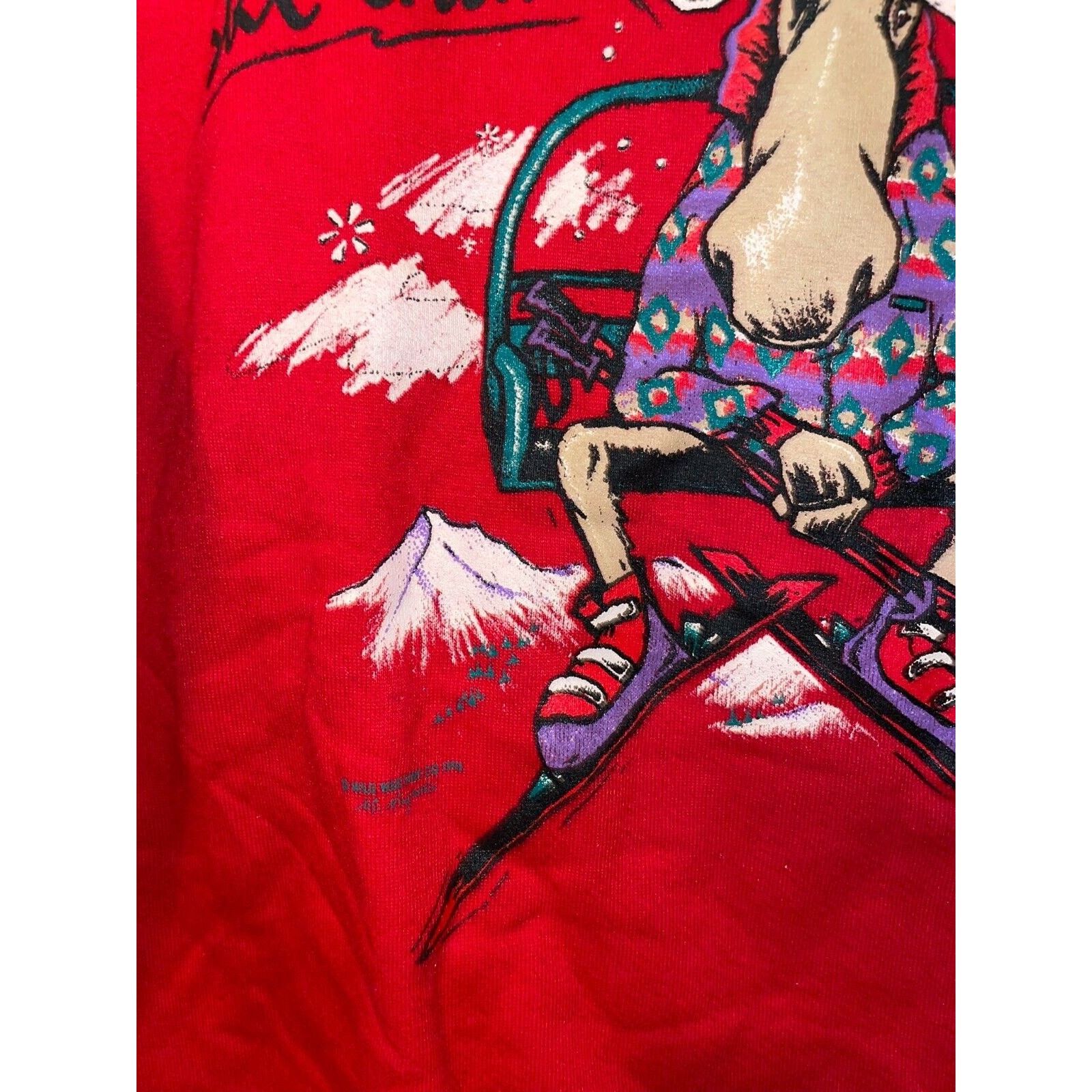 Jerzees Vintage Ski Sweatshirt Skiing Crewneck Utah Moose VTG 90s M Size US M / EU 48-50 / 2 - 5 Thumbnail