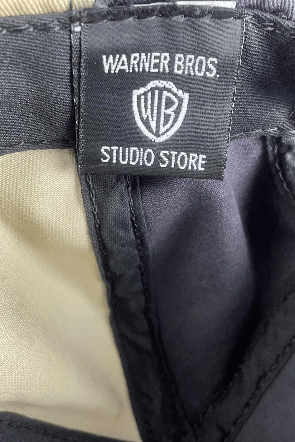 Vintage × Warner Bros 1994 Warner Bros Studio Store “TAZ” Snapback (USA-made) Size ONE SIZE - 9 Thumbnail