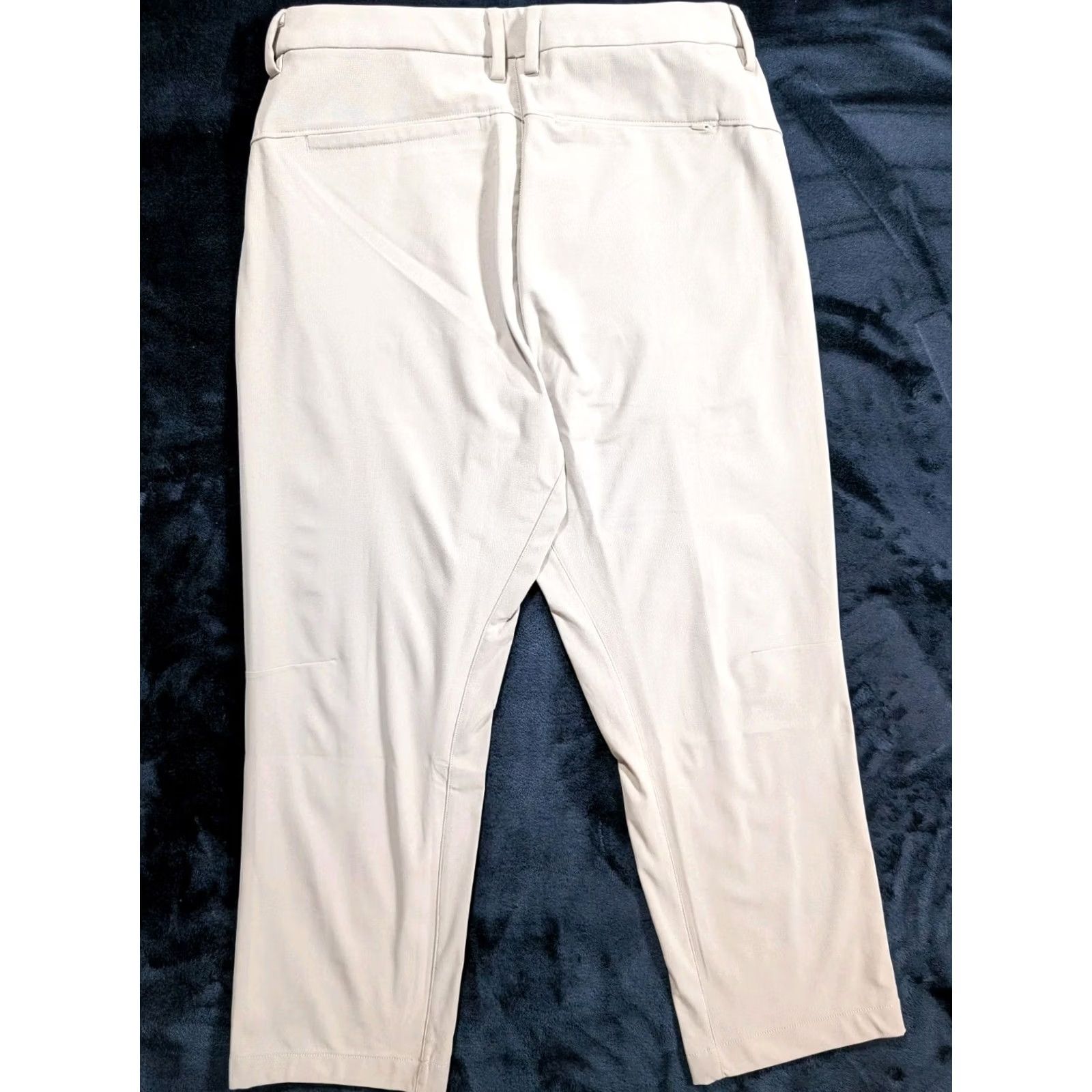 Rhone Rhone Slim Cropped Pants Men's 32x26 Beig e Stretch Polyester Flat Front Inseam 26 In Tapered Size US 32 / EU 48 - 6 Thumbnail