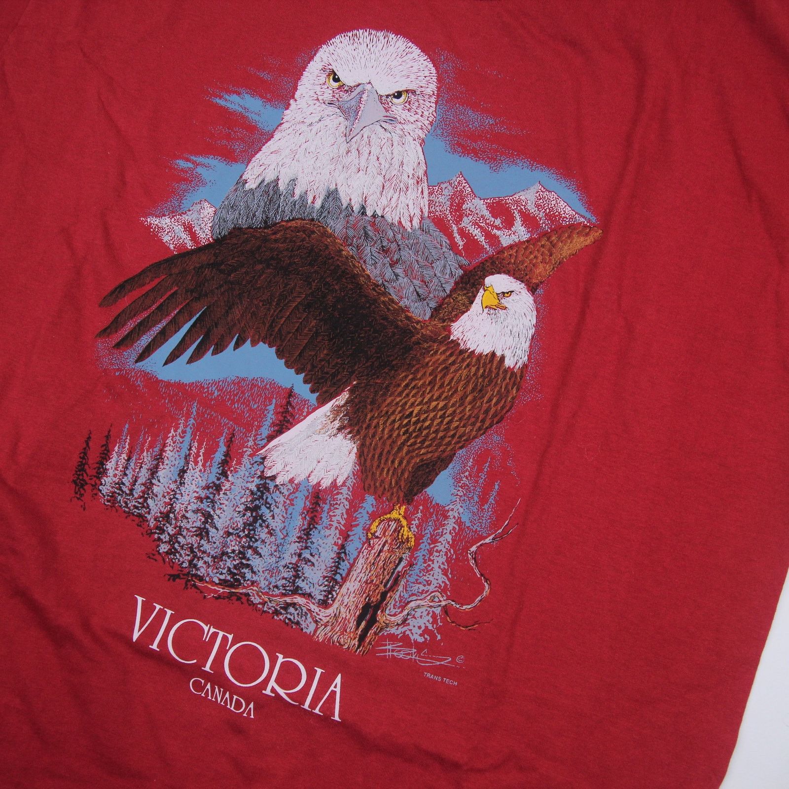 Fruit Of The Loom × Vintage Vintage Bald Eagle Graphic T Shirt Size US XL / EU 56 / 4 - 2 Thumbnail