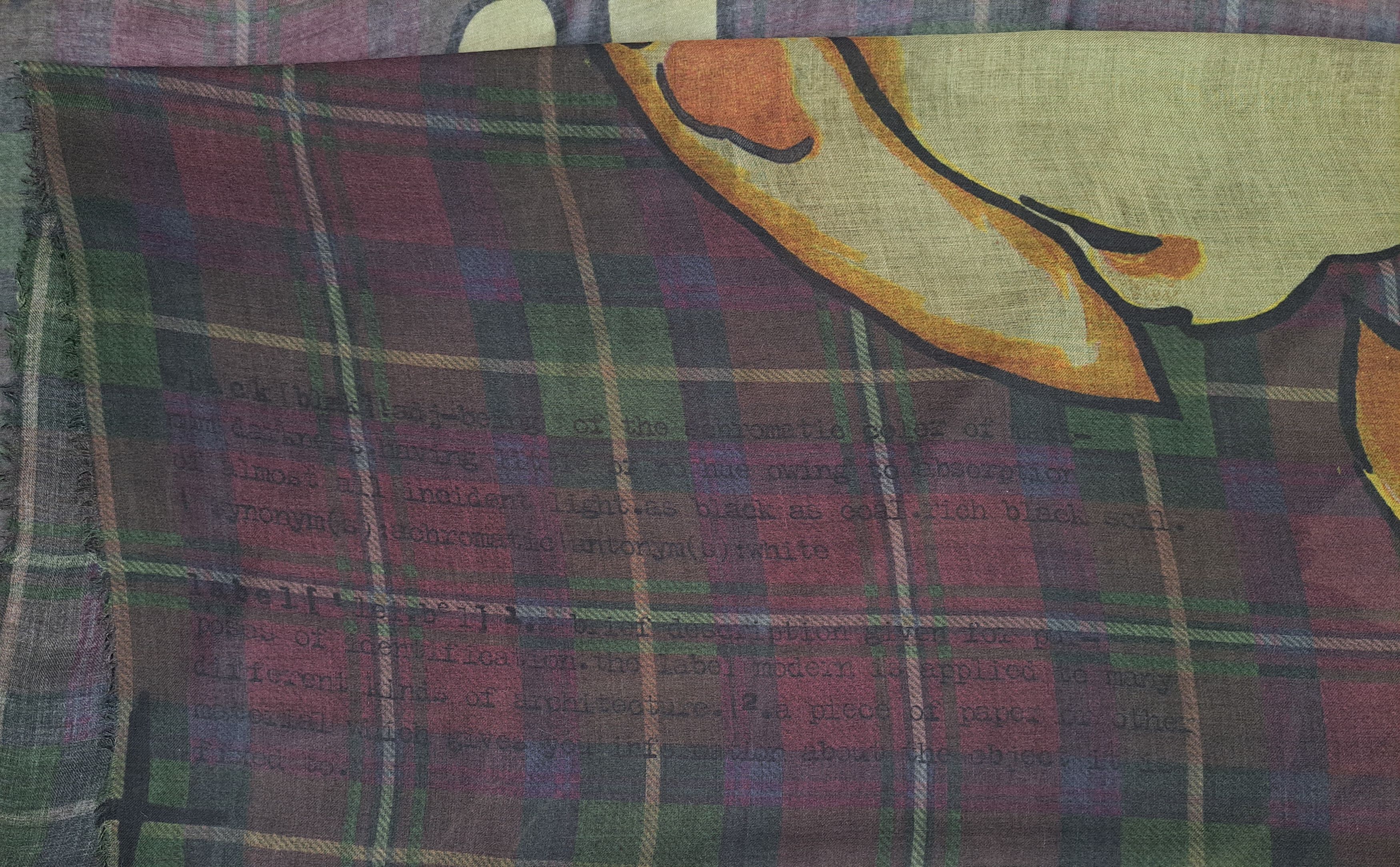 Rundholz Rundholz large modal/cashmere multi boxing rabbit scarf. Size ONE SIZE - 3 Thumbnail