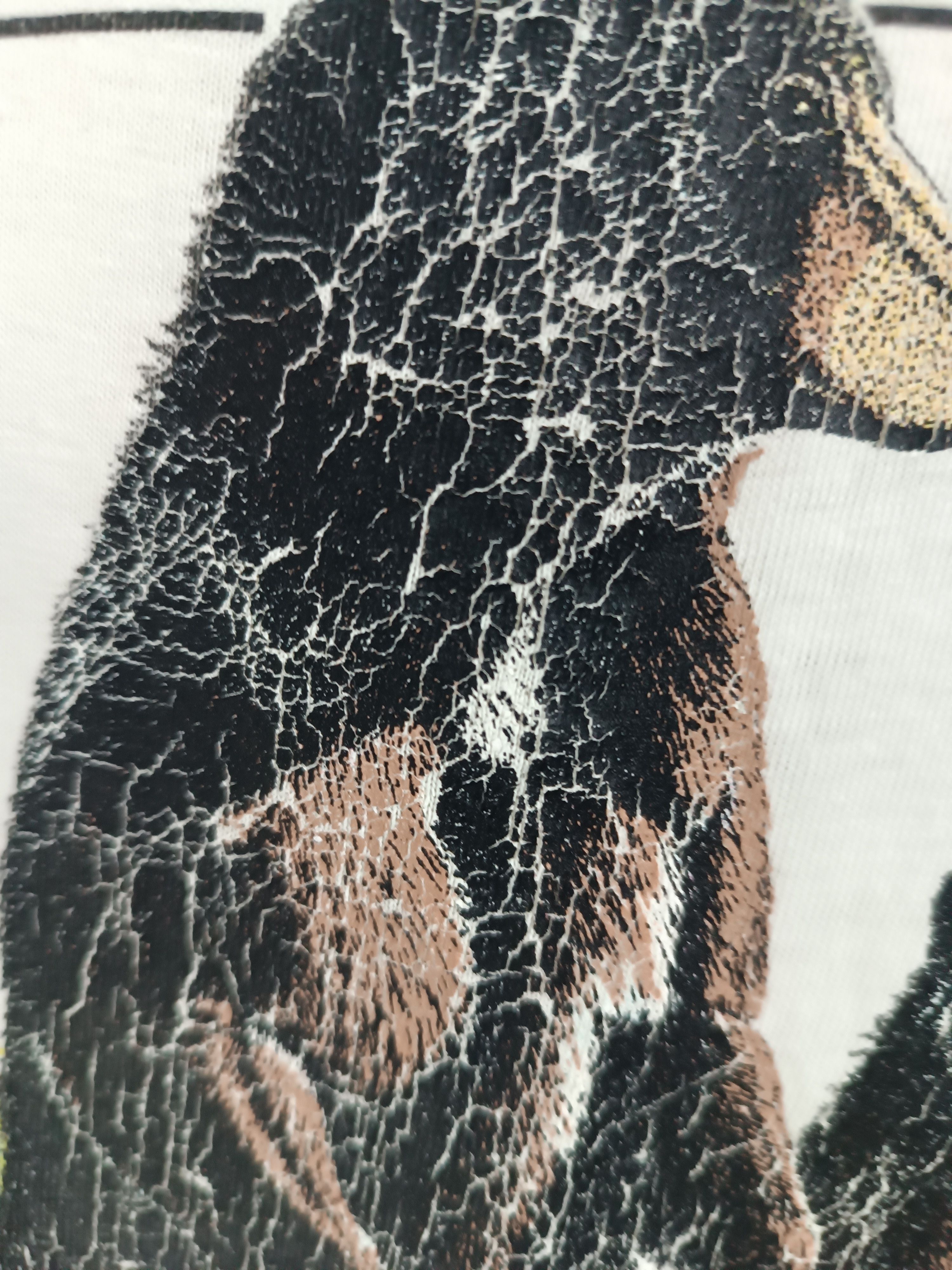 Vintage RARE🔥VINTAGE 80'S BLACK BEAR COLLECTOR ANIMAL HABITAT TEE Size US M / EU 48-50 / 2 - 11 Thumbnail