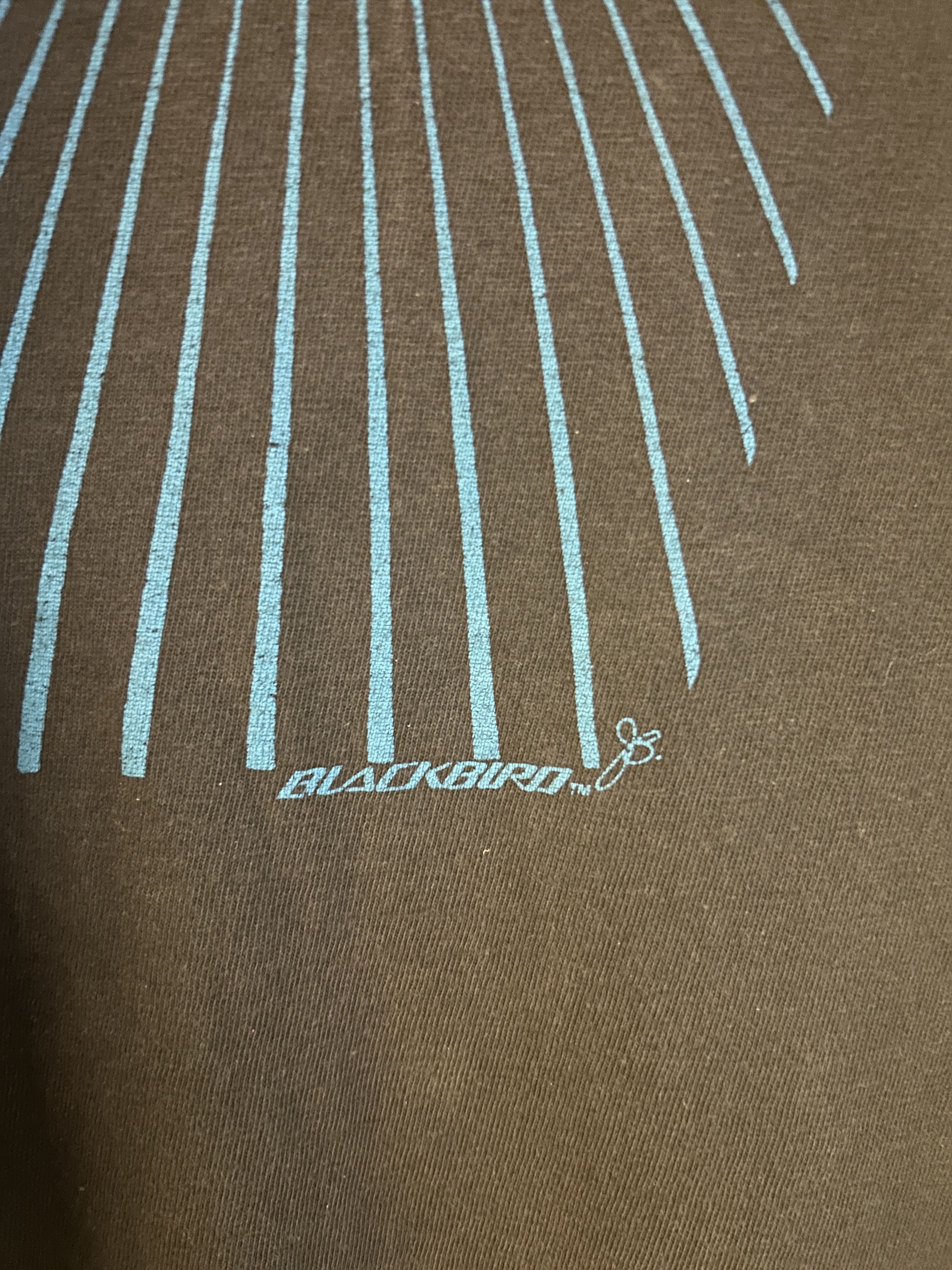 Vintage Vintage 90s Hanes SR-71 Blackbird T-Shirt Size US L / EU 52-54 / 3 - 3 Thumbnail